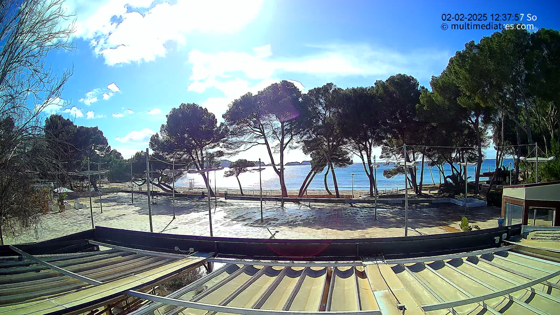 A sunny day at a beachside area shows a paved plaza, several tall pine trees, and a calm ocean under a partly cloudy sky.