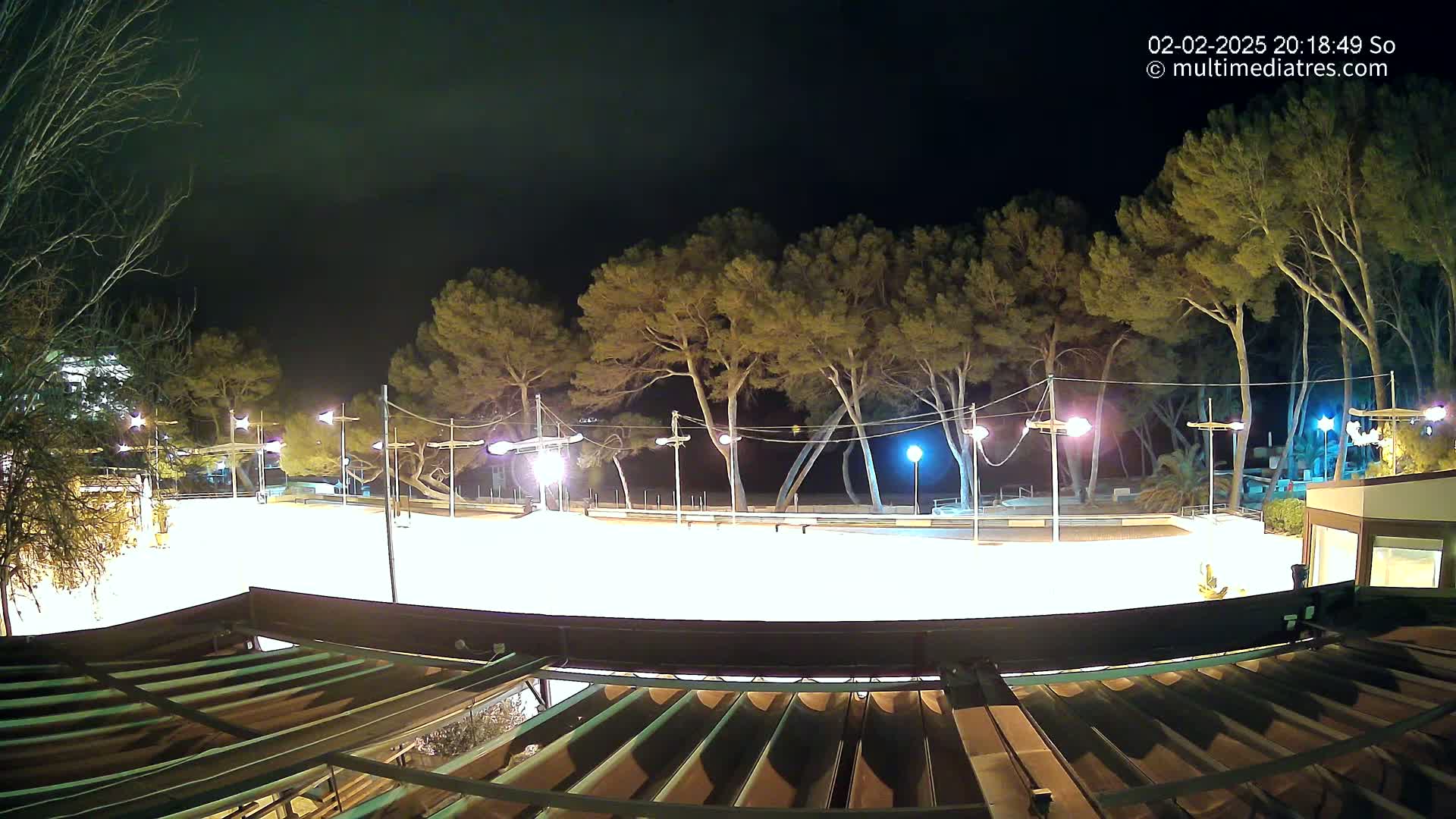 A brightly lit, empty outdoor skating rink at night, surrounded by dark trees under a clear, dark sky.