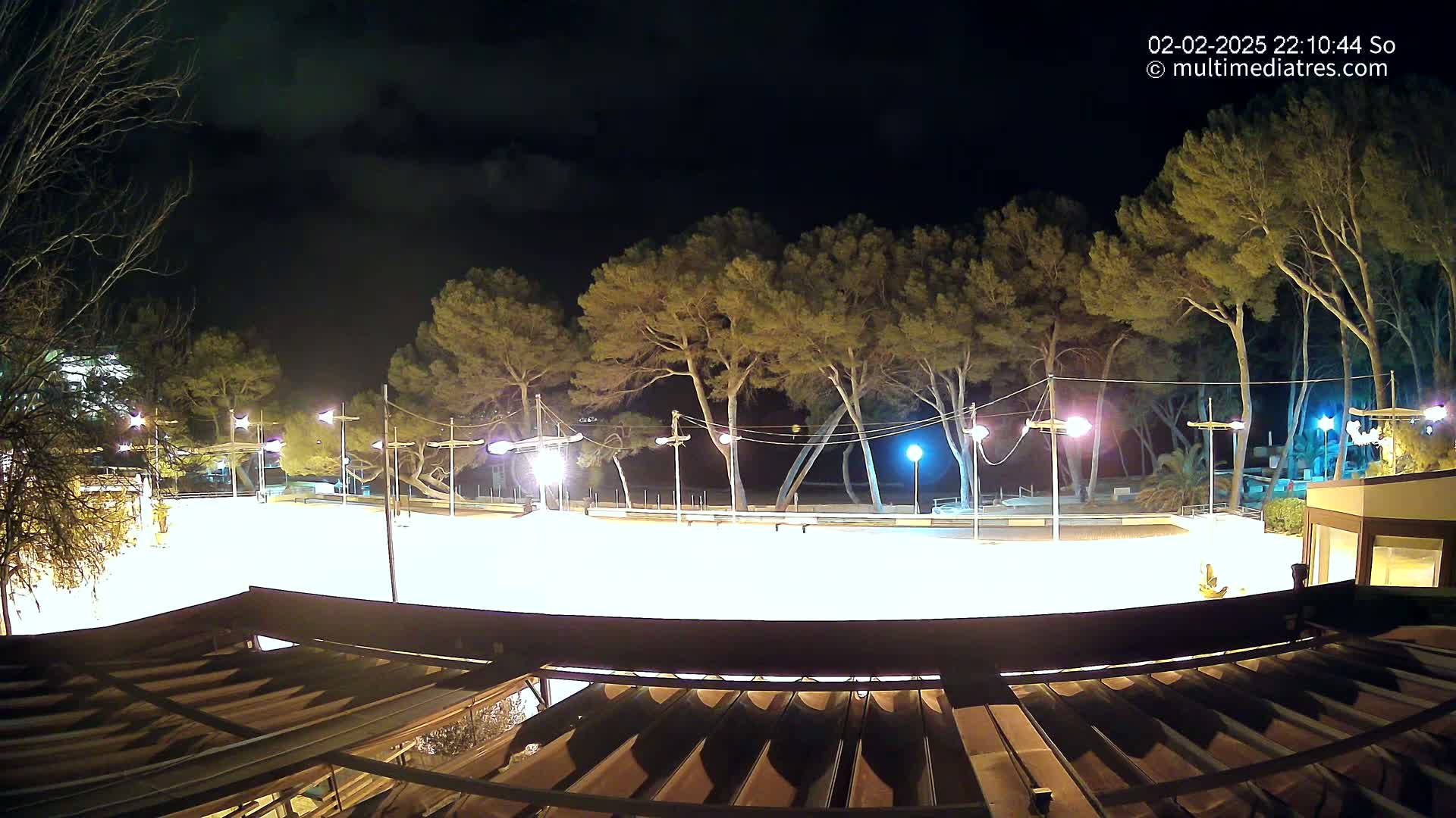 A brightly lit, empty plaza at night, surrounded by tall pine trees under a mostly clear sky.
