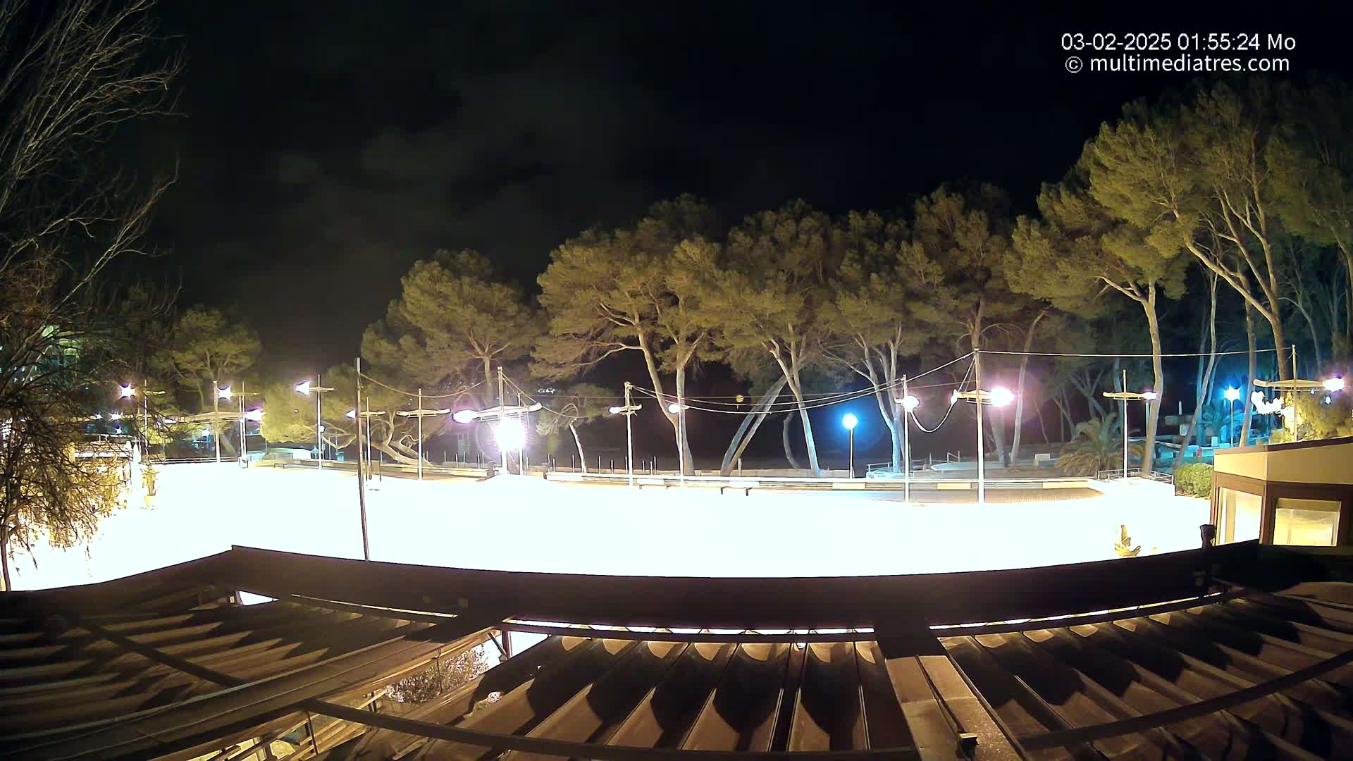 A brightly lit, empty plaza at night, surrounded by tall pine trees under a partly cloudy sky.