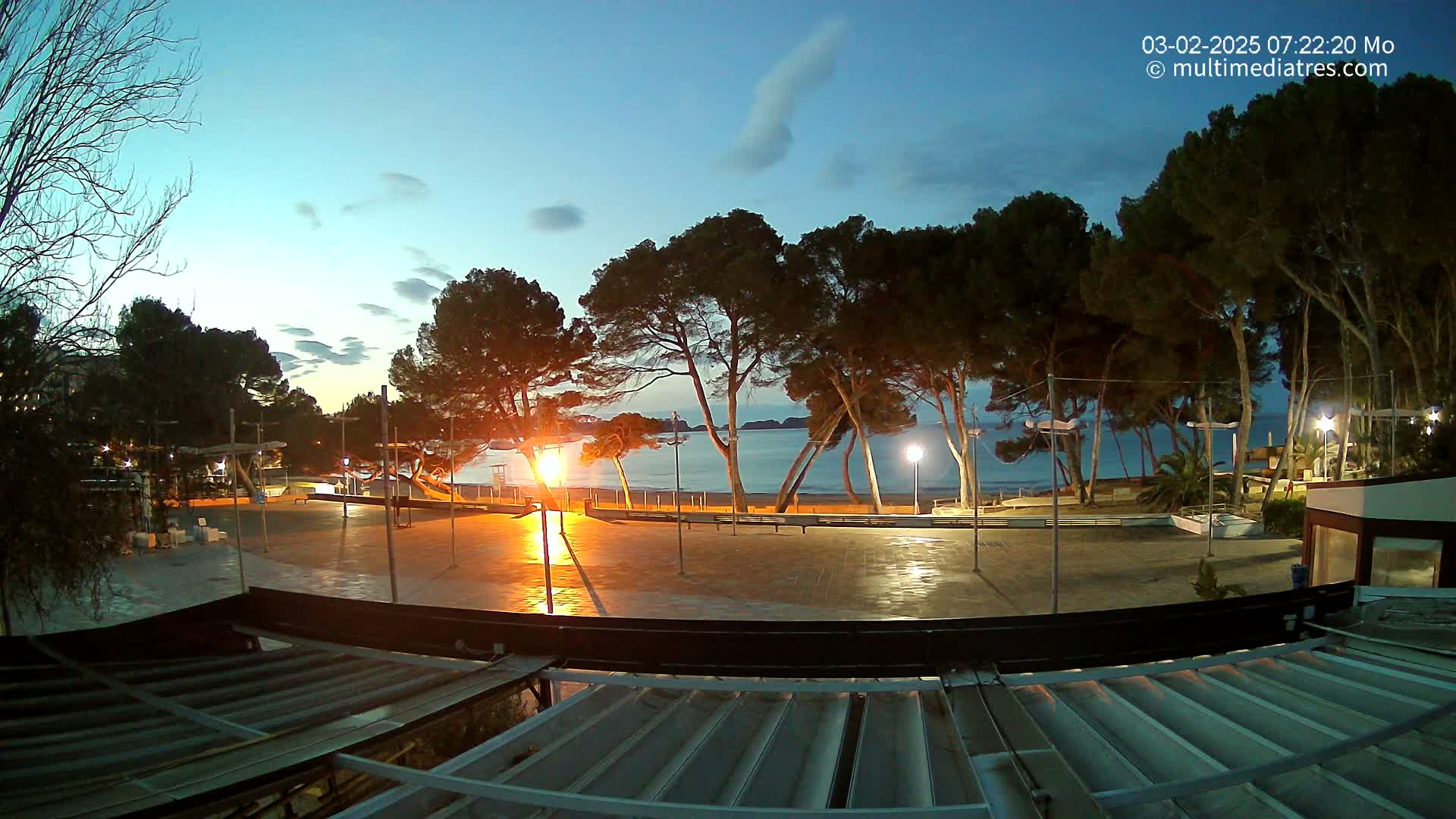 A paved plaza, illuminated by streetlights, overlooks a calm beach at twilight under a clear sky, with dark pine trees lining the shore.