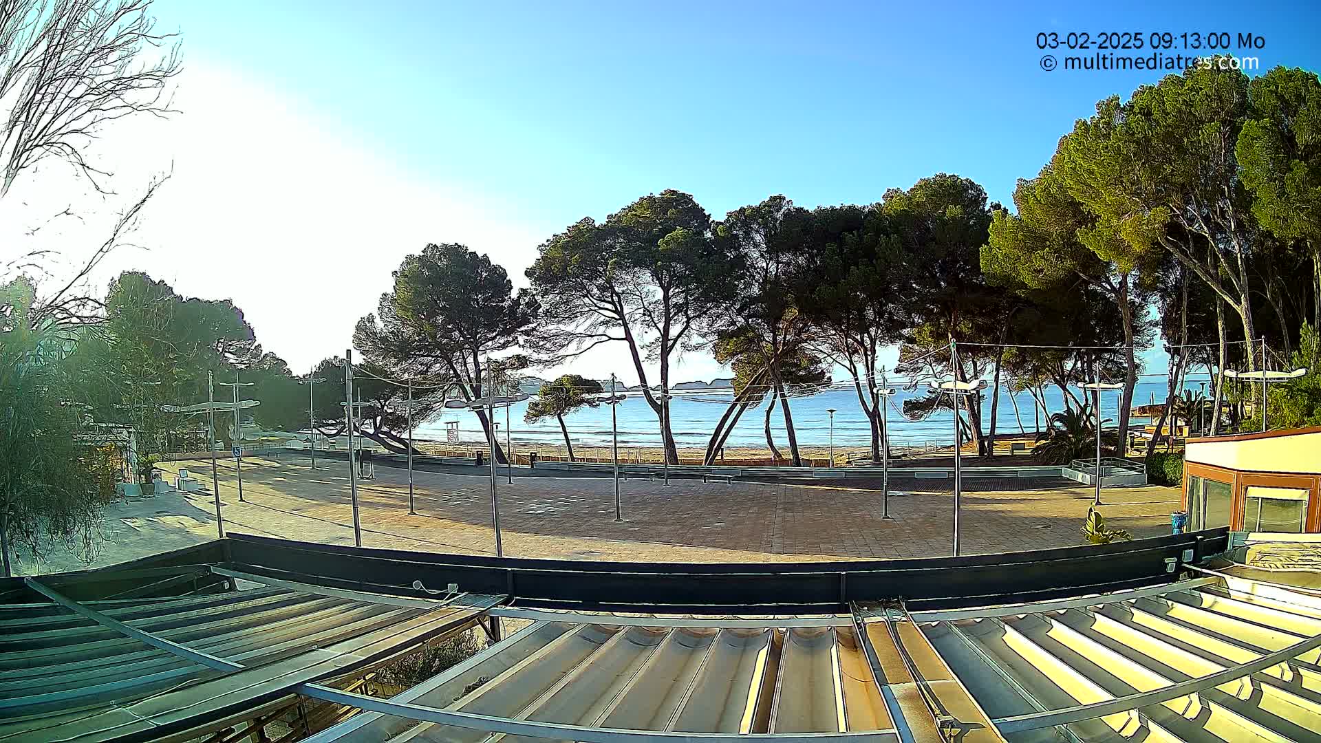 A paved plaza overlooks a calm, sunny ocean beach lined with pine trees.