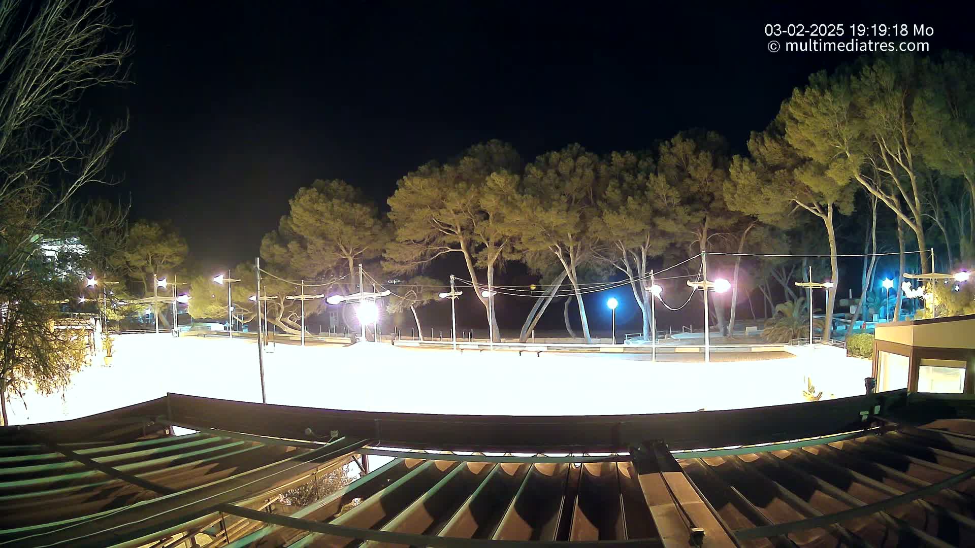 A brightly lit, empty plaza at night, surrounded by tall pine trees under a clear, dark sky.