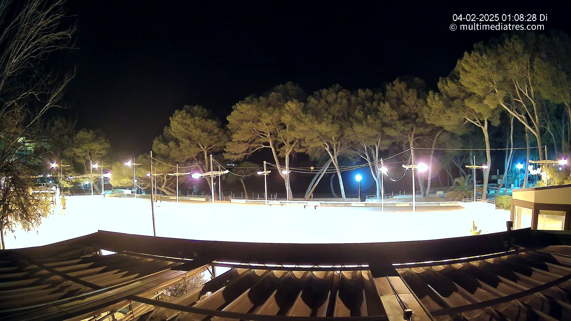 A brightly lit, empty skating rink at night, surrounded by tall pine trees under a clear, dark sky.