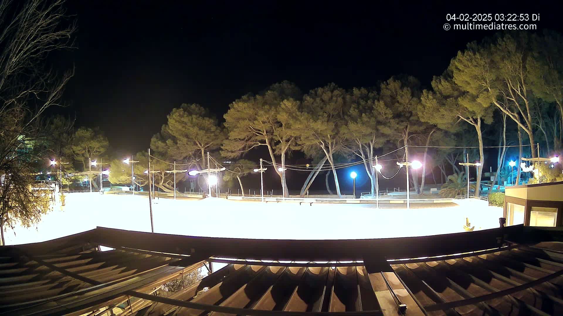 A brightly lit, empty outdoor rink is surrounded by tall, dark trees at night.
