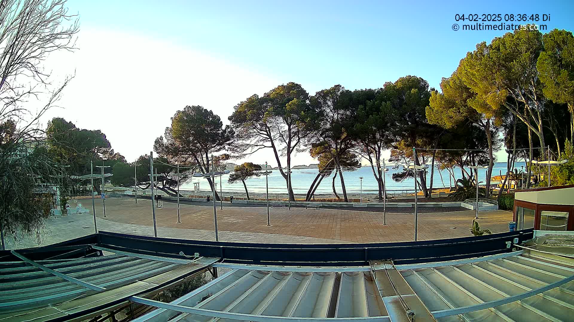 A paved plaza overlooks a calm ocean beach lined with pine trees under a clear, bright sky.