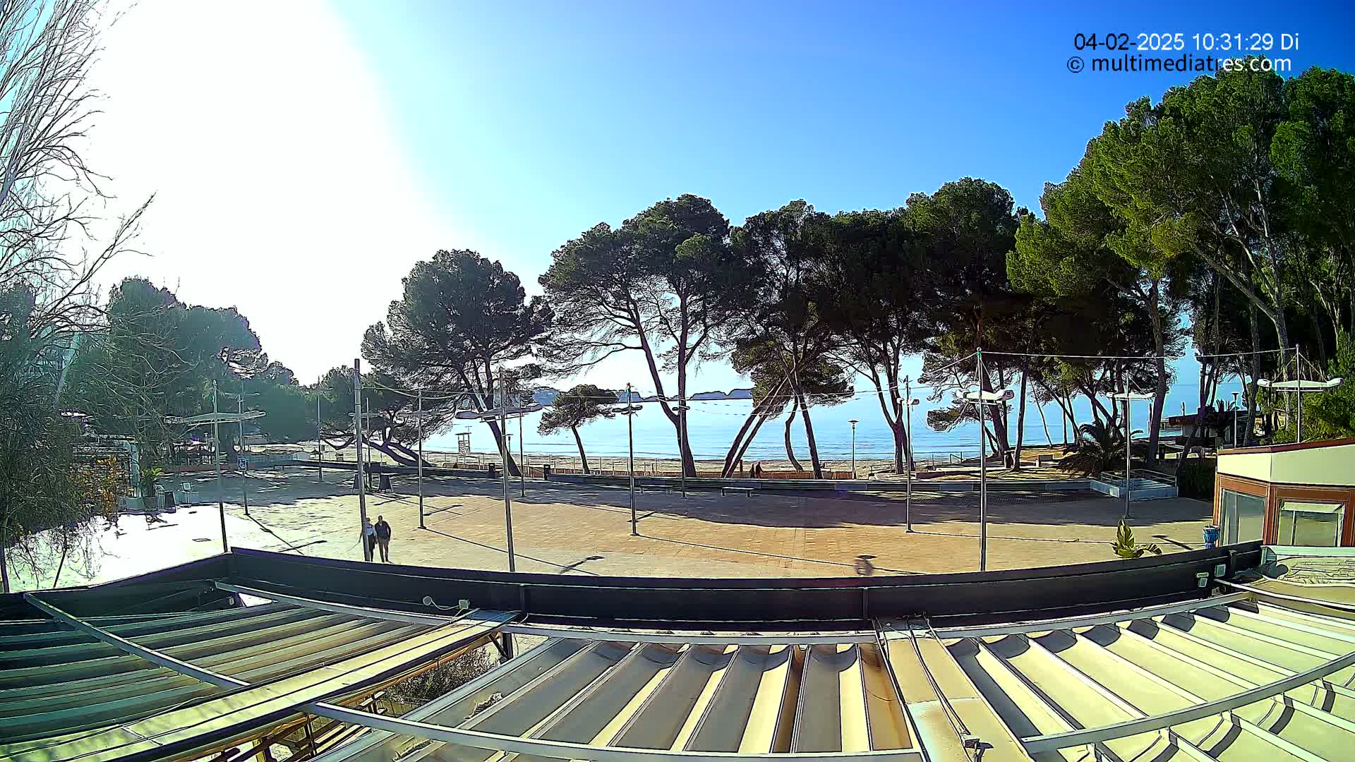 A sunny beachfront plaza, lined with pine trees, overlooks a calm sea under a clear blue sky.
