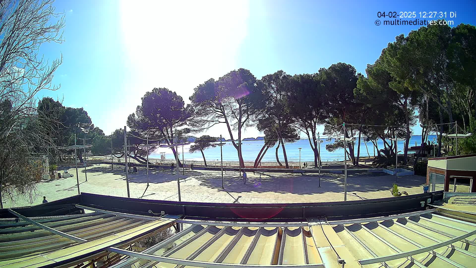 A sunny day at a beachside plaza shows a sandy beach, calm blue water, and a row of pine trees behind a paved area with several light posts.
