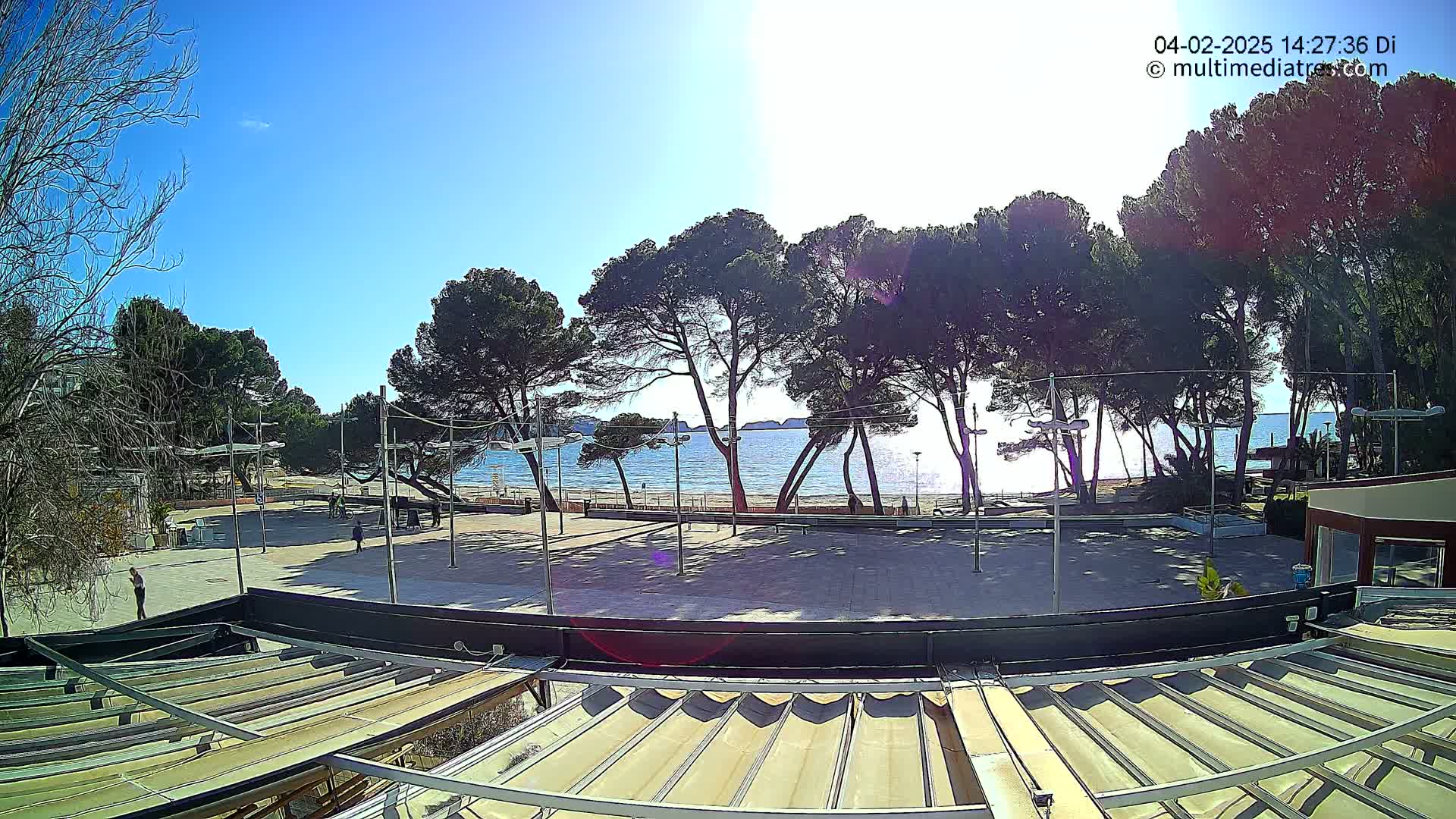 A sunny outdoor scene shows a paved plaza next to a beach with calm blue water, lined with pine trees under a clear blue sky.