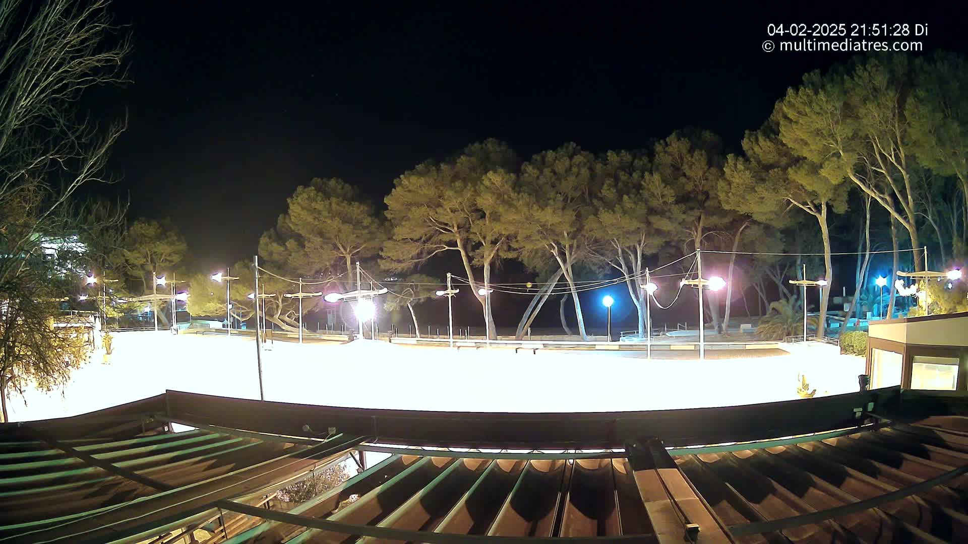 A brightly lit, empty plaza at night, surrounded by tall pine trees under a clear, dark sky.