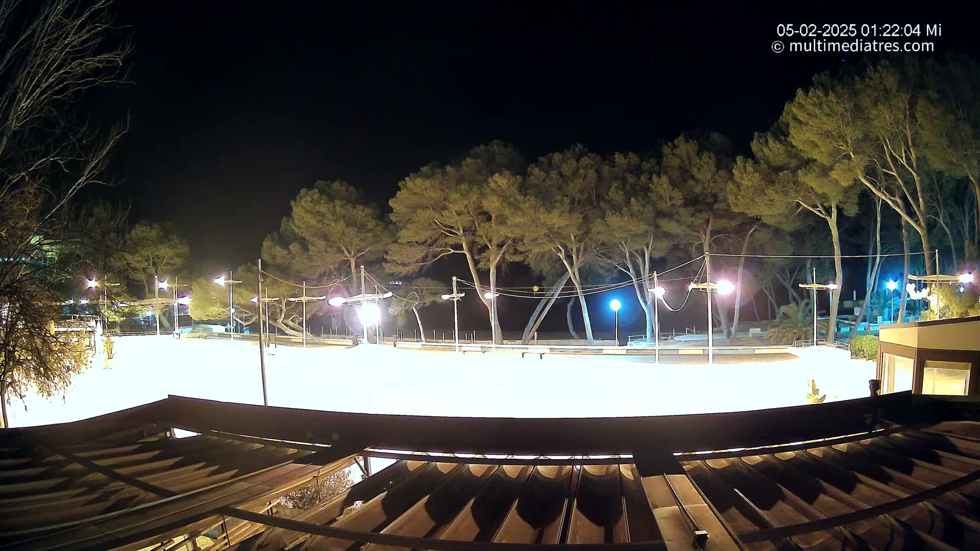 A brightly lit, empty plaza at night, surrounded by tall trees under a clear, dark sky.