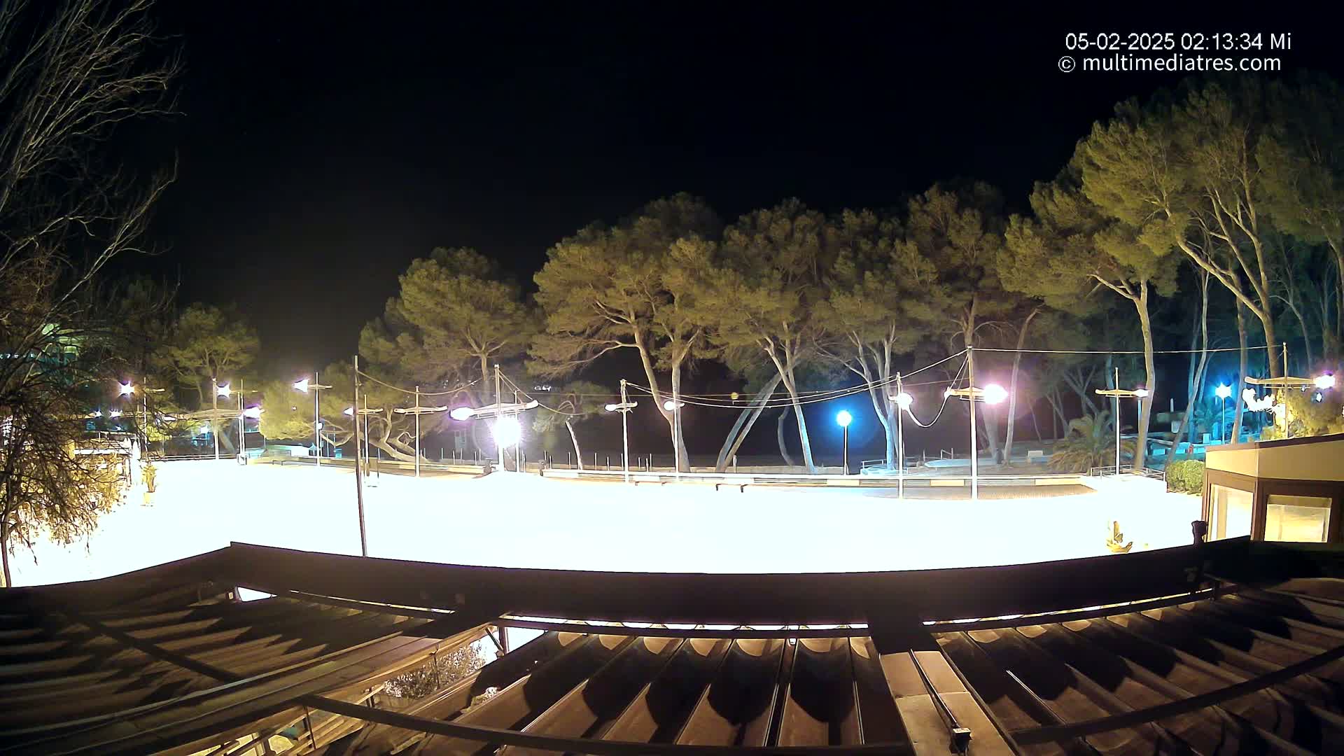 A brightly lit, empty plaza at night, surrounded by tall pine trees under a clear, dark sky.