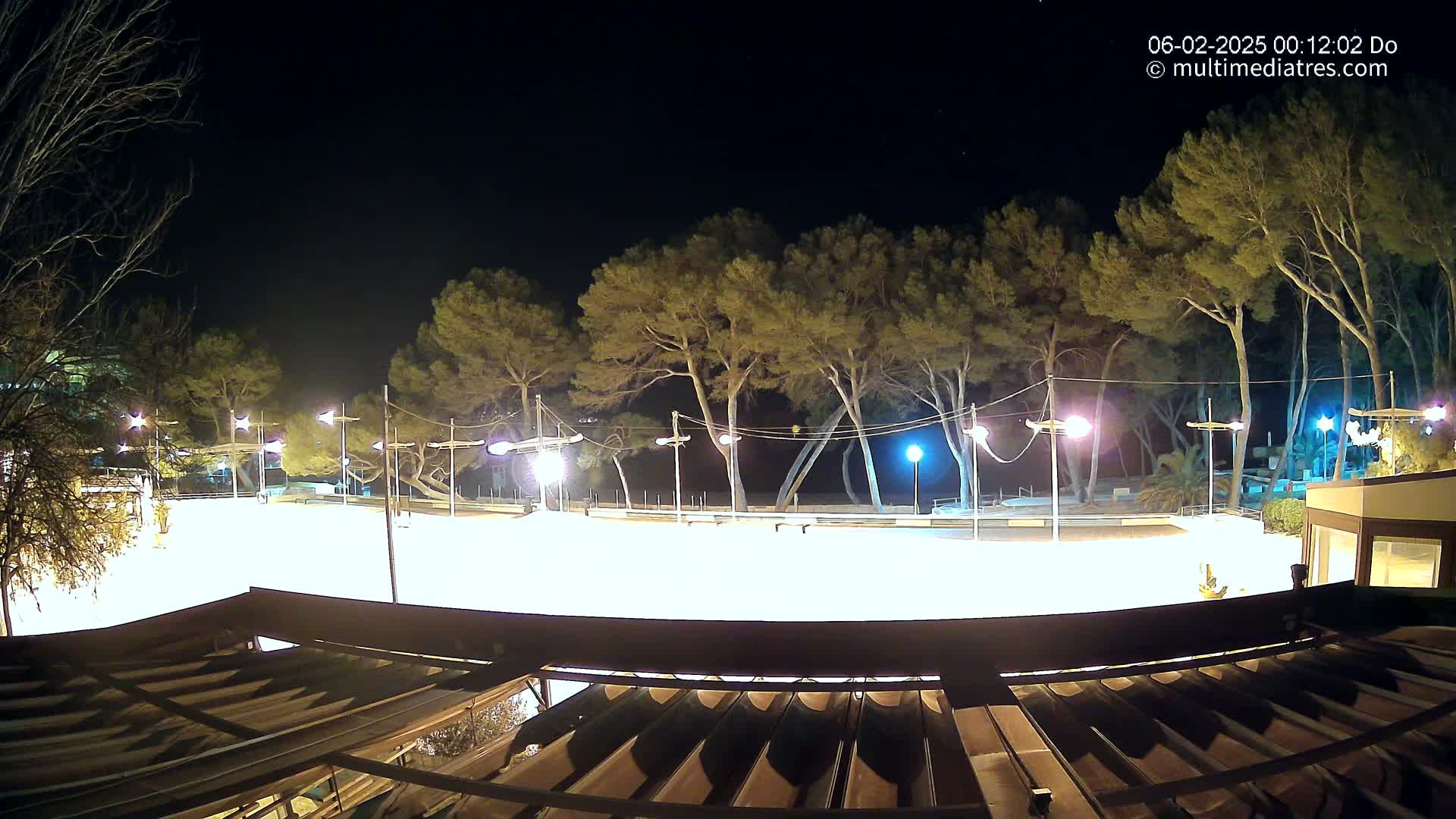 A brightly lit, empty plaza at night, bordered by pine trees and under a clear, dark sky.