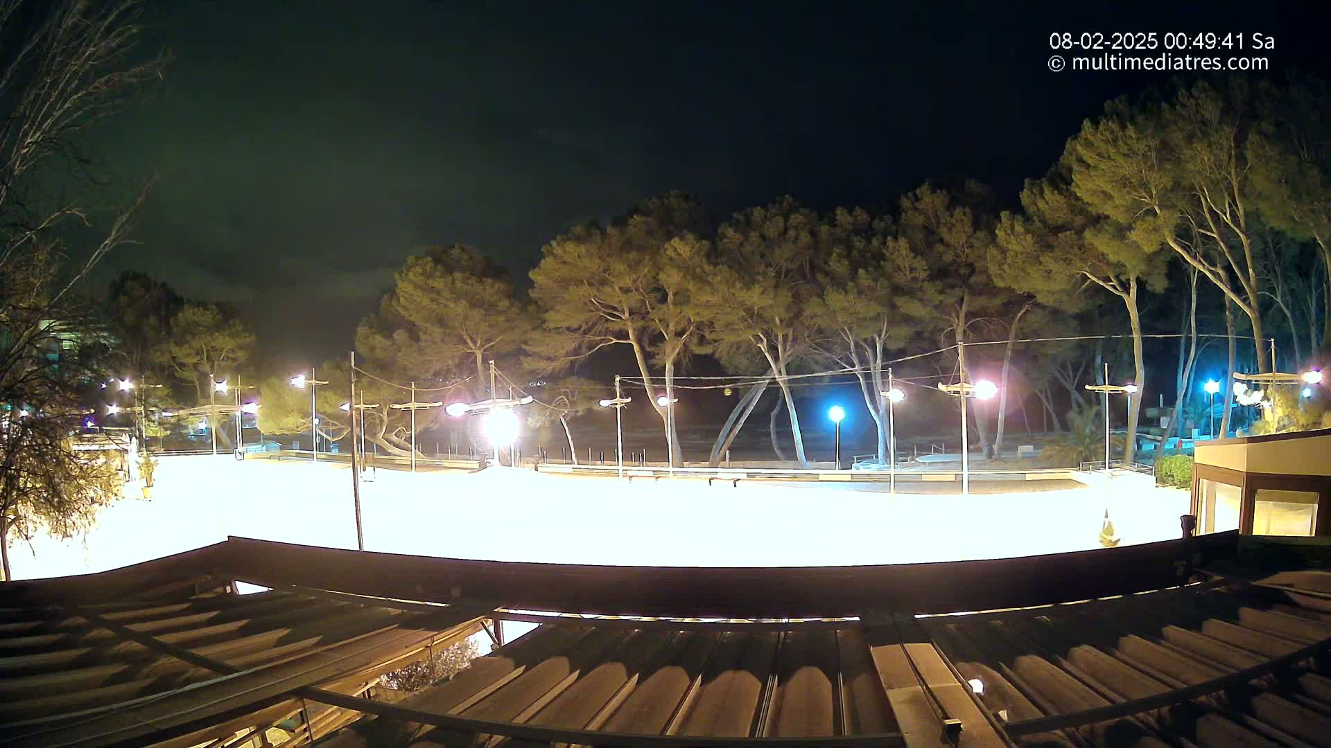 A brightly lit, empty plaza at night, surrounded by tall, dark trees under a mostly clear sky.