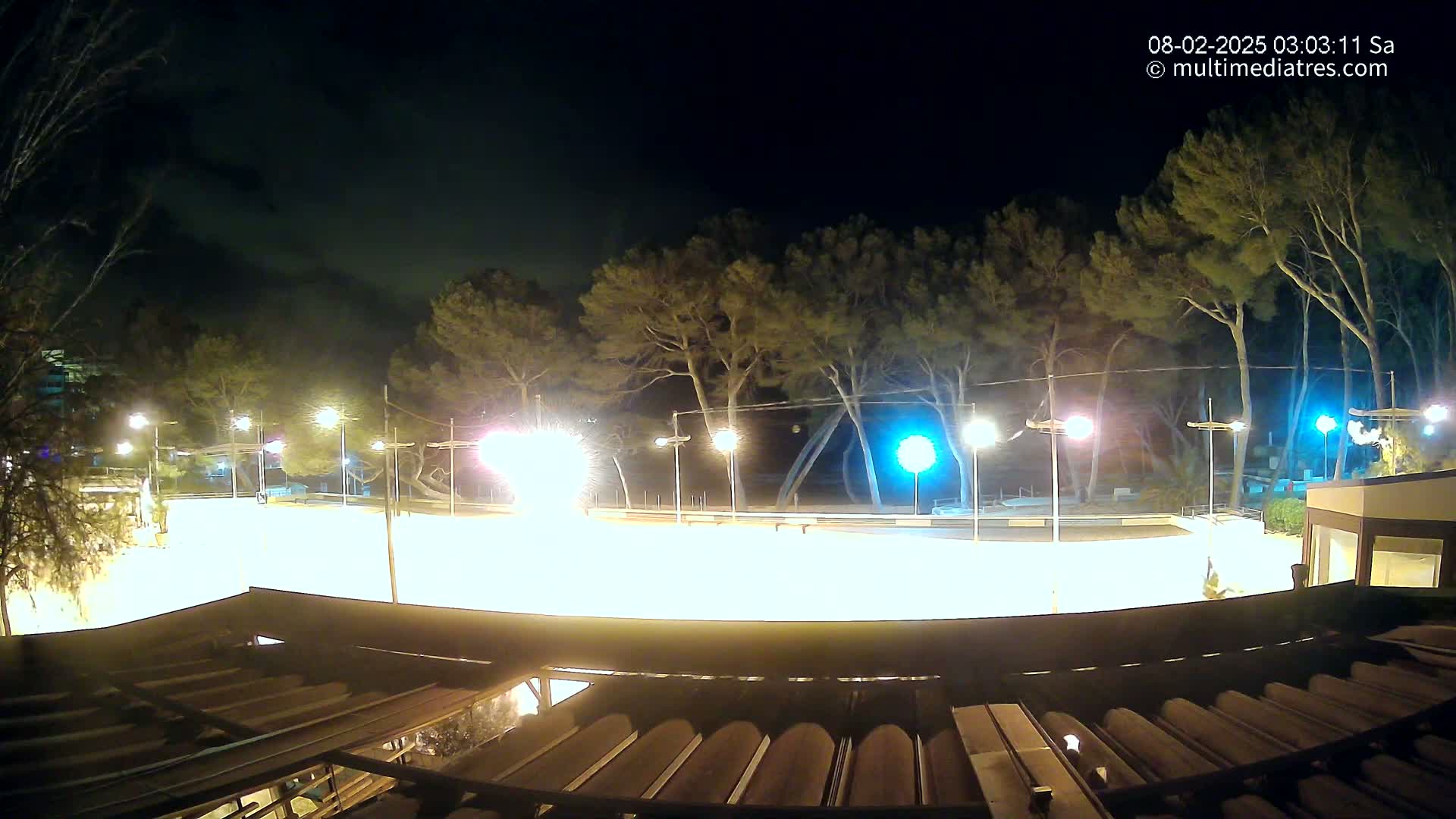 A brightly lit, empty paved area at night, surrounded by tall, dark trees under a clear, dark sky.