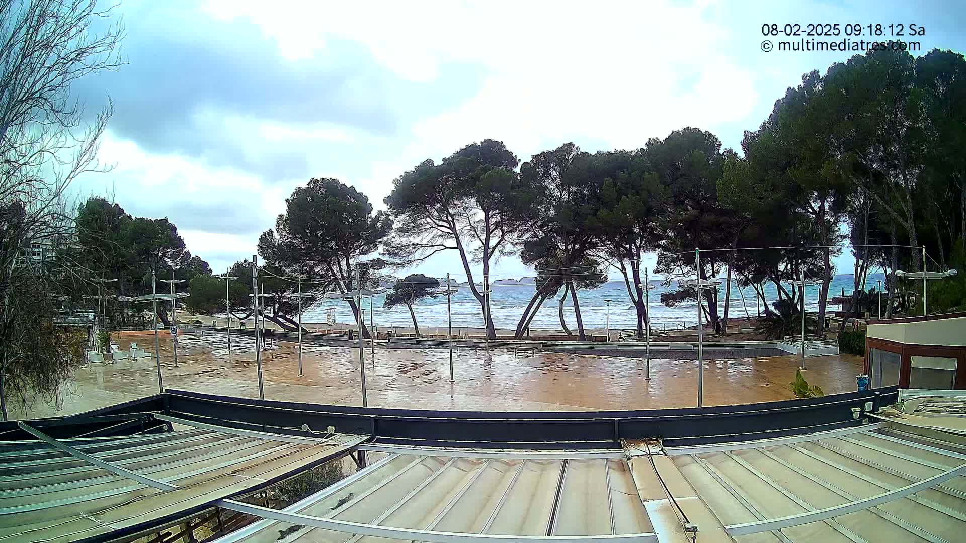 A wet, paved plaza overlooks a beach with wavy water and a row of pine trees under a cloudy sky.