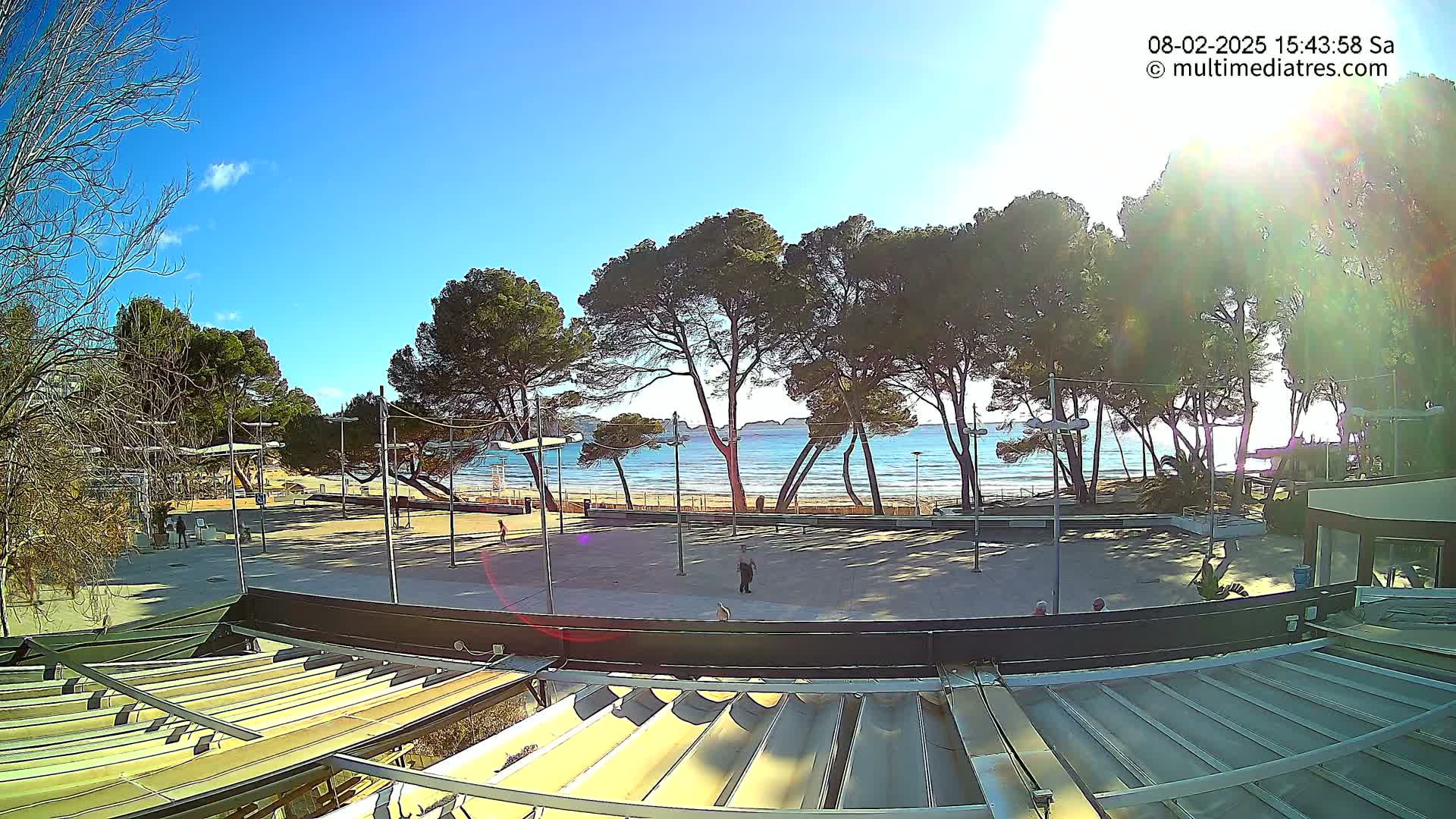 A sunny beach scene is viewed from above a paved plaza with several tall pine trees, showing a mostly empty sandy beach and calm ocean water beyond.