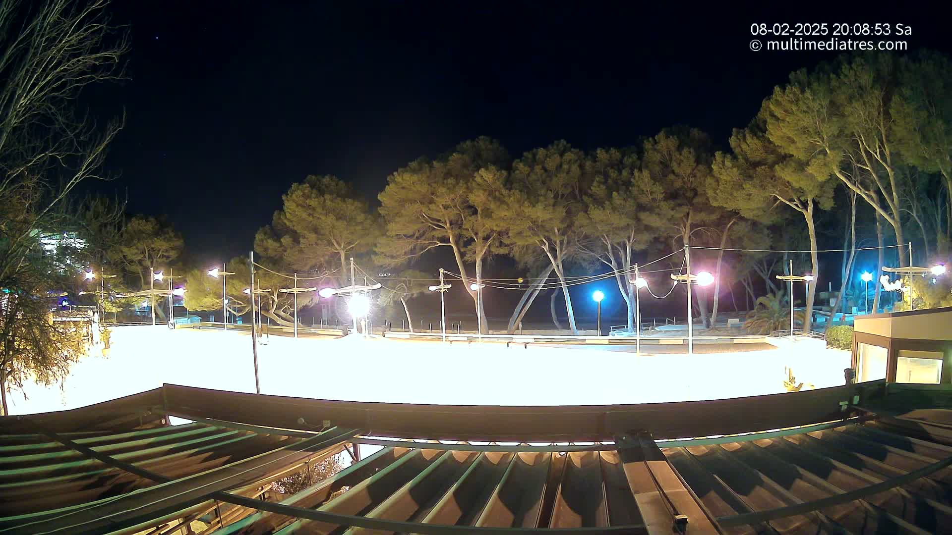 A brightly lit, empty plaza at night, surrounded by tall pine trees under a clear, dark sky.