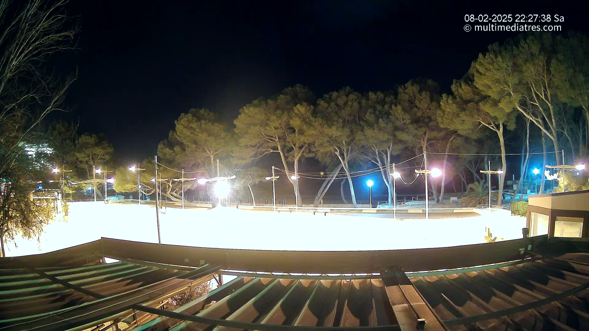 A brightly lit, empty outdoor rink at night, surrounded by tall, dark pine trees under a clear, dark sky.