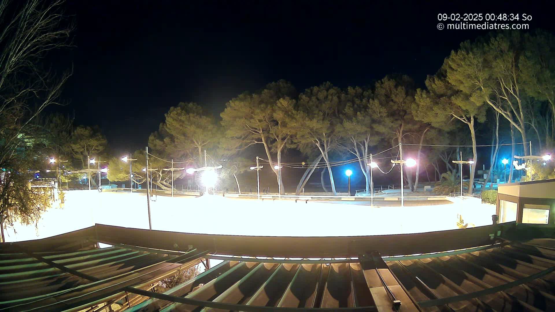 A brightly lit, empty outdoor rink at night, surrounded by tall pine trees under a clear, dark sky.