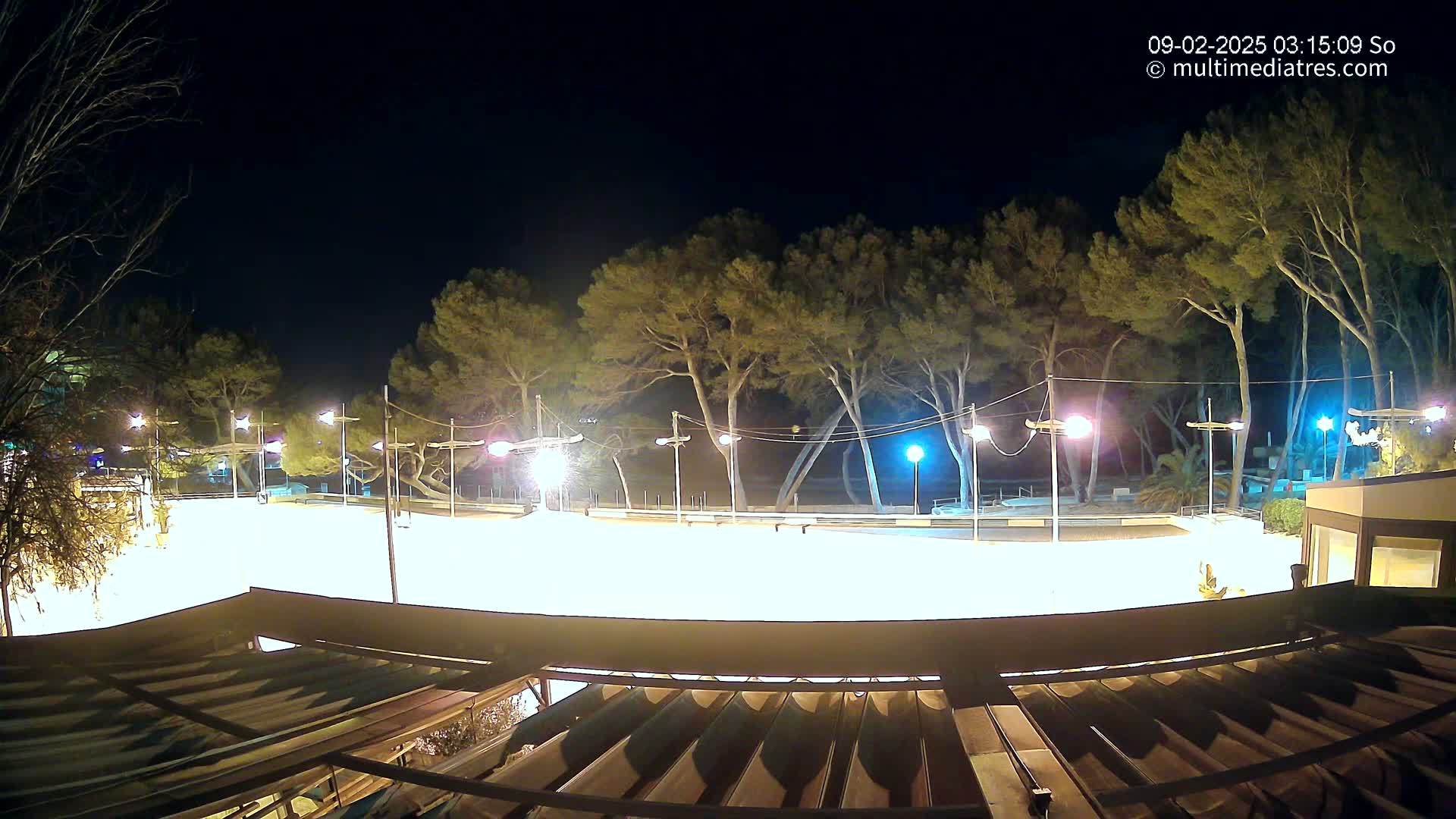 A brightly lit outdoor rink at night, surrounded by tall pine trees under a clear, dark sky.