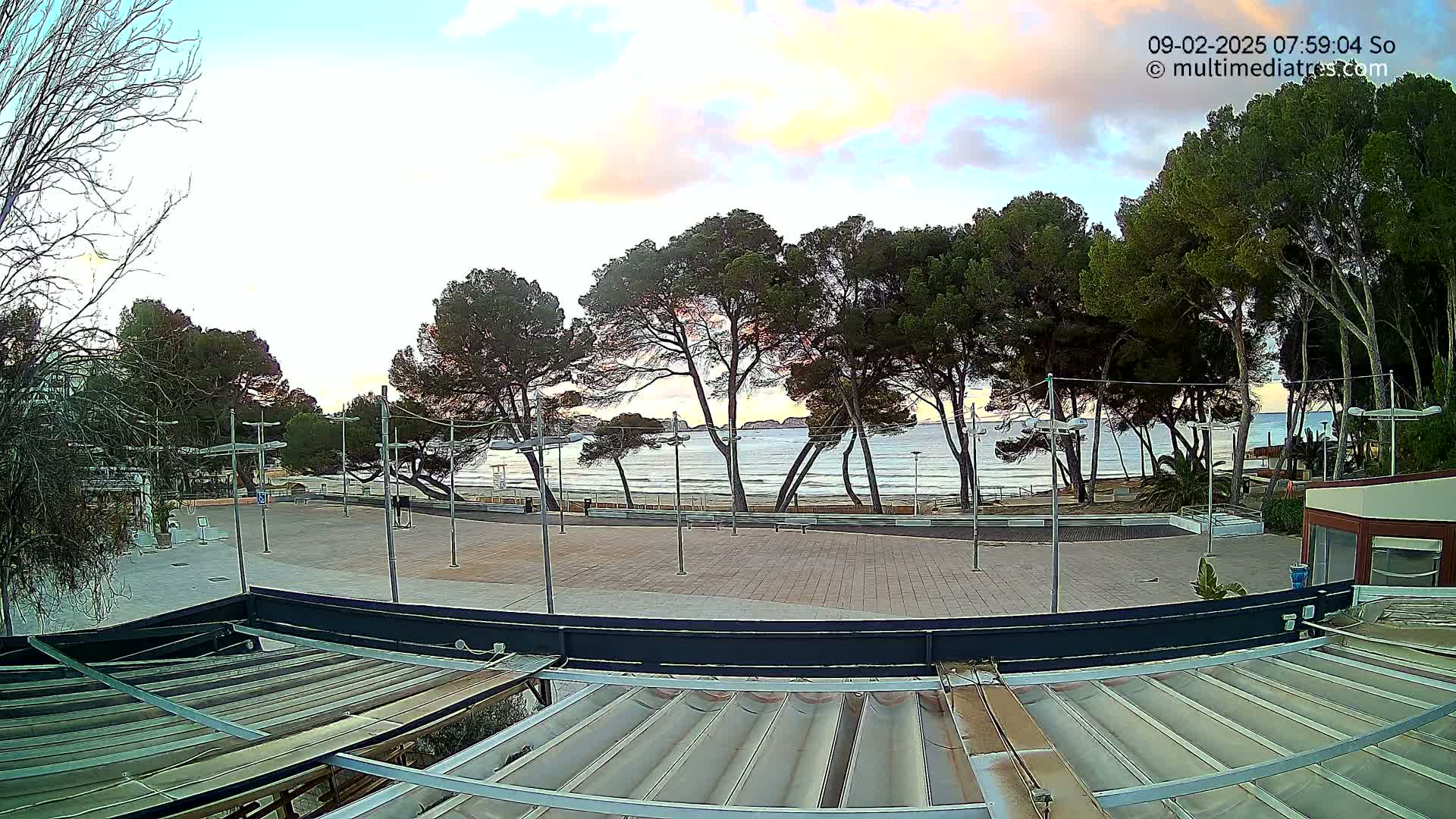 A paved plaza overlooks a calm ocean beach at dawn, lined with pine trees under a partly cloudy sky.