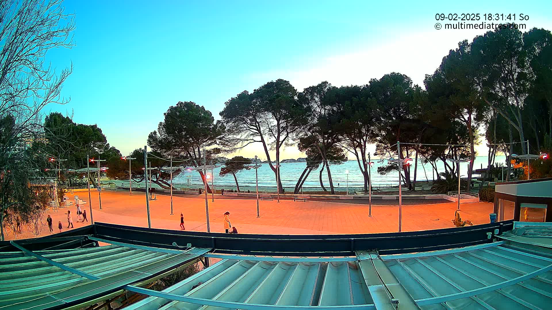 A paved plaza, illuminated in orange light, overlooks a calm ocean at sunset, lined with tall pine trees.