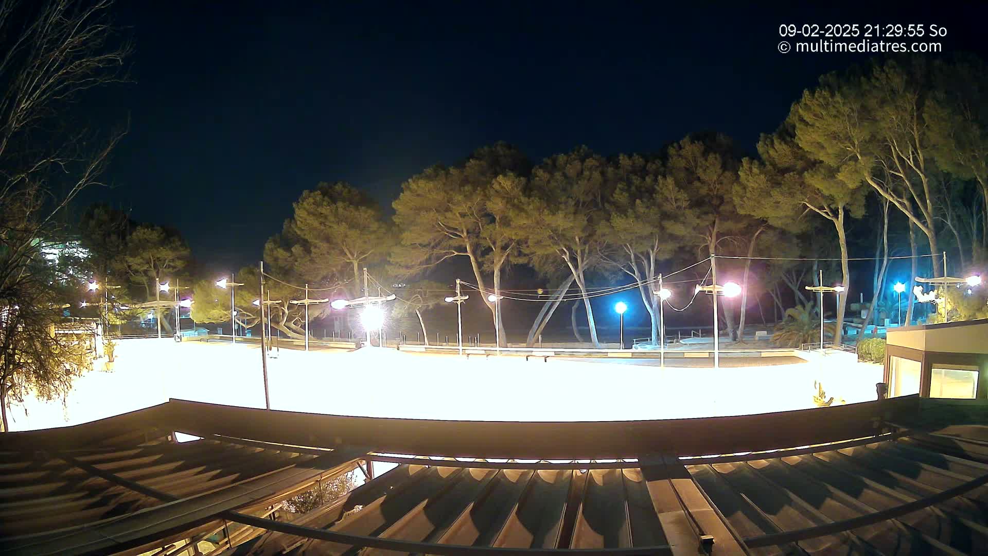 A brightly lit, empty plaza surrounded by tall pine trees under a clear night sky.