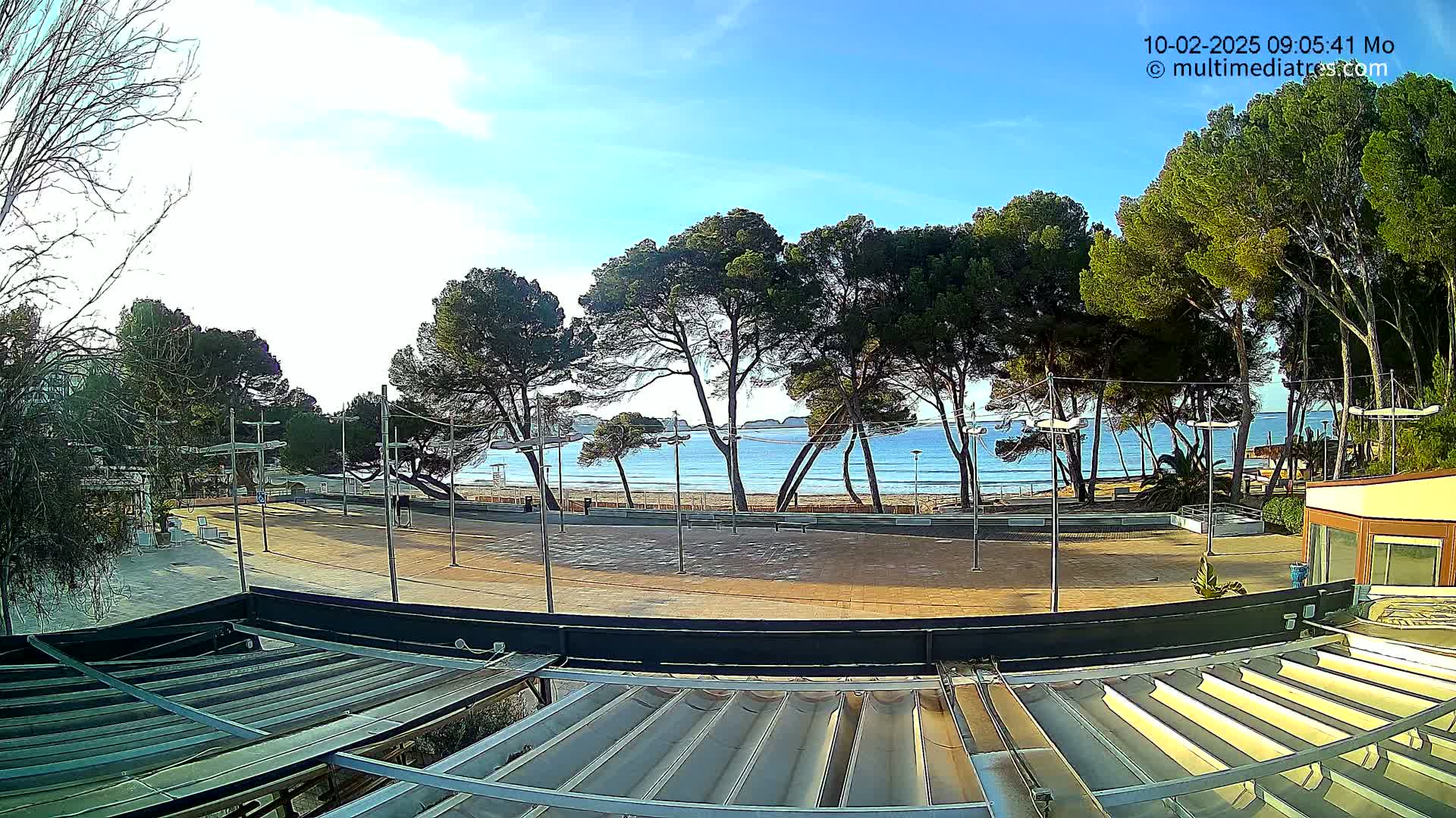 A sunny day overlooking a sandy beach with calm blue water, seen from behind a row of pine trees and a paved plaza.