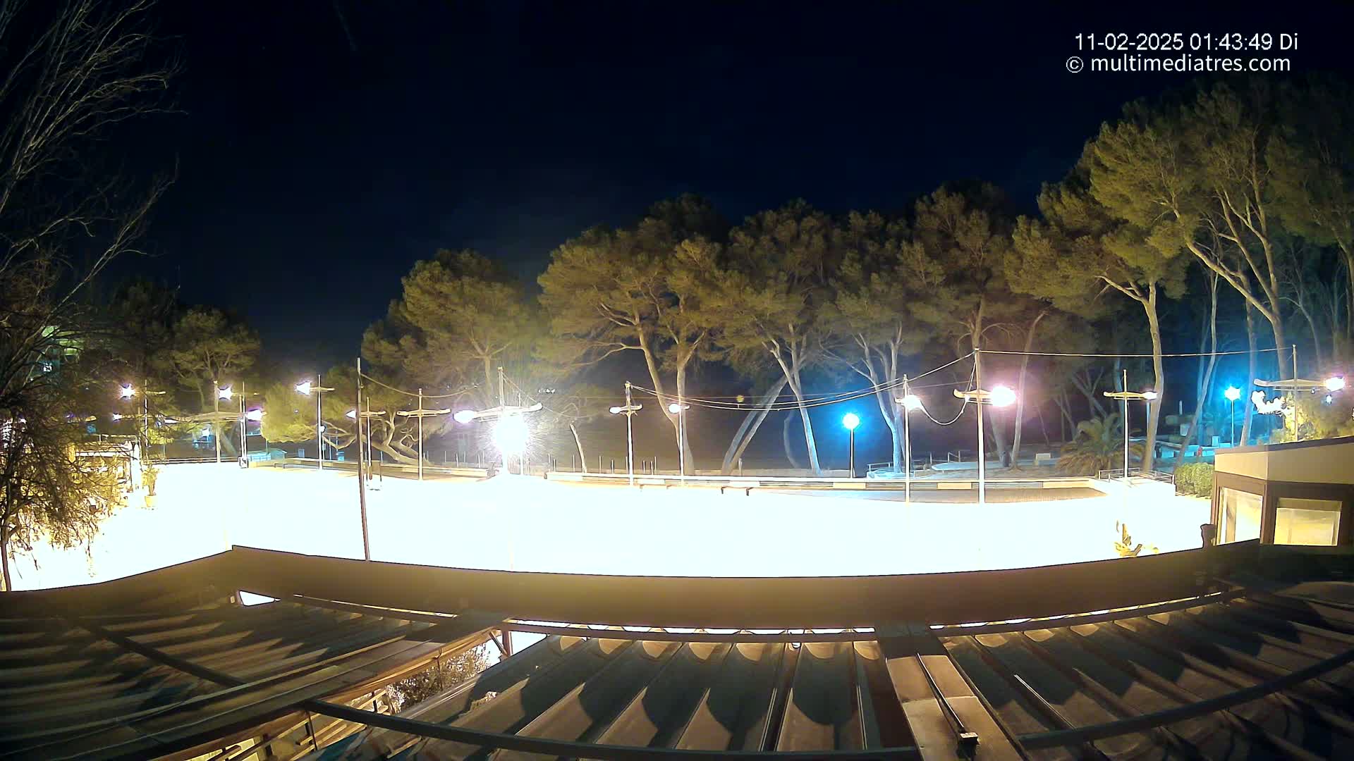 A brightly lit, empty outdoor rink is surrounded by tall pine trees under a clear night sky.