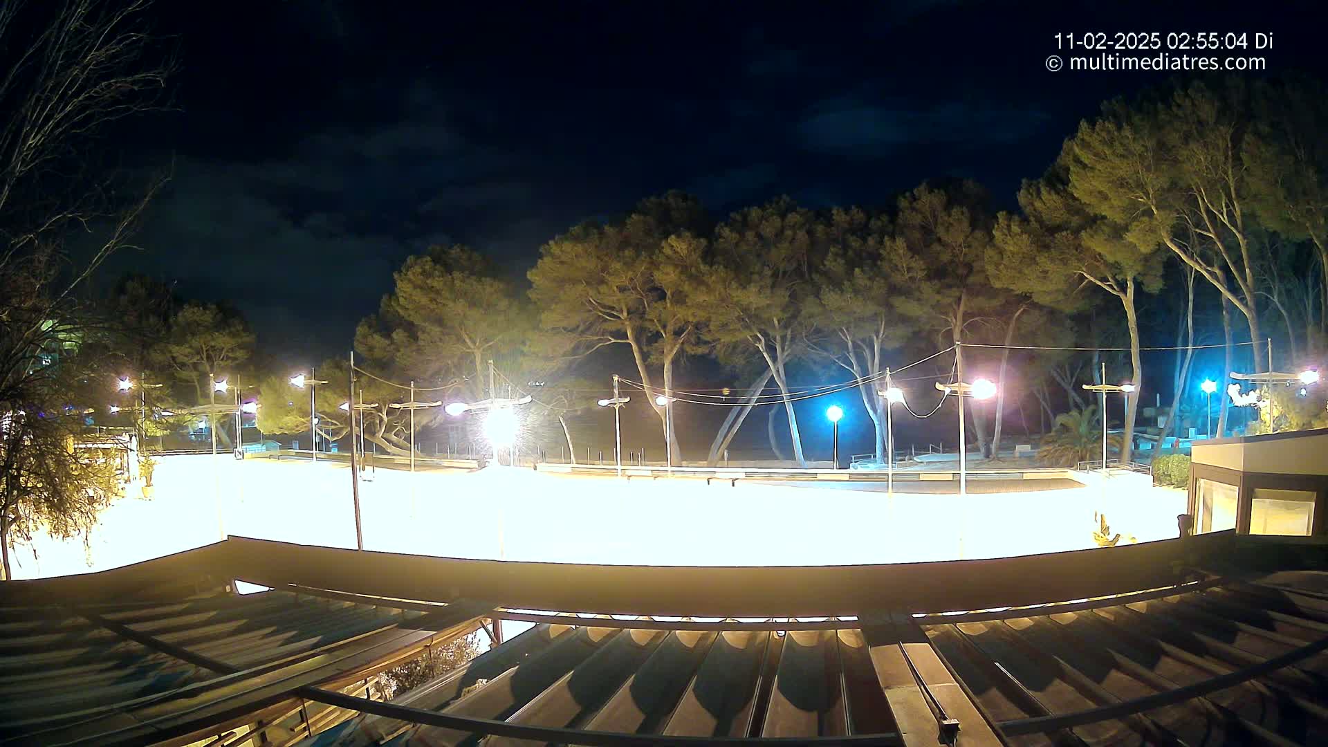 A brightly lit, empty paved area at night, surrounded by tall, dark trees under a mostly clear sky.