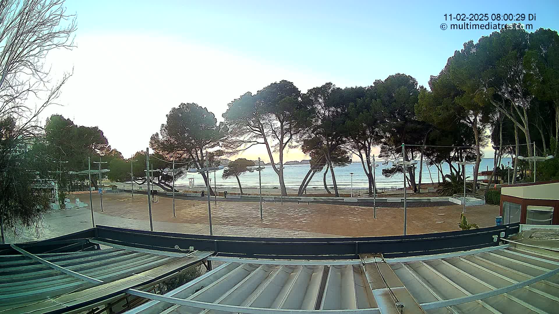 A mostly clear sunrise over a calm ocean beach, viewed from a patio overlooking a paved plaza lined with trees and lampposts.
