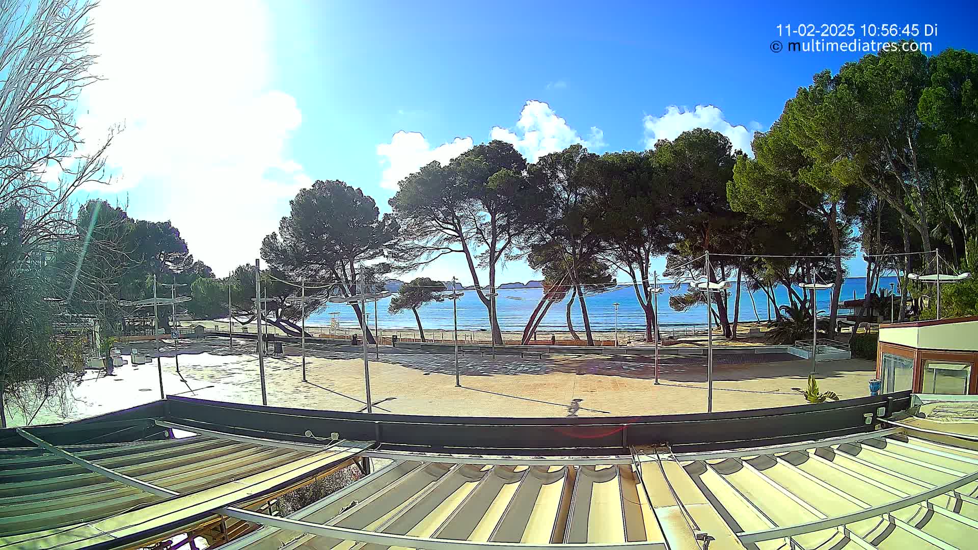 A sunny day at a beach, viewed from behind a partially covered patio, shows a sandy area, a row of pine trees, and calm blue water.