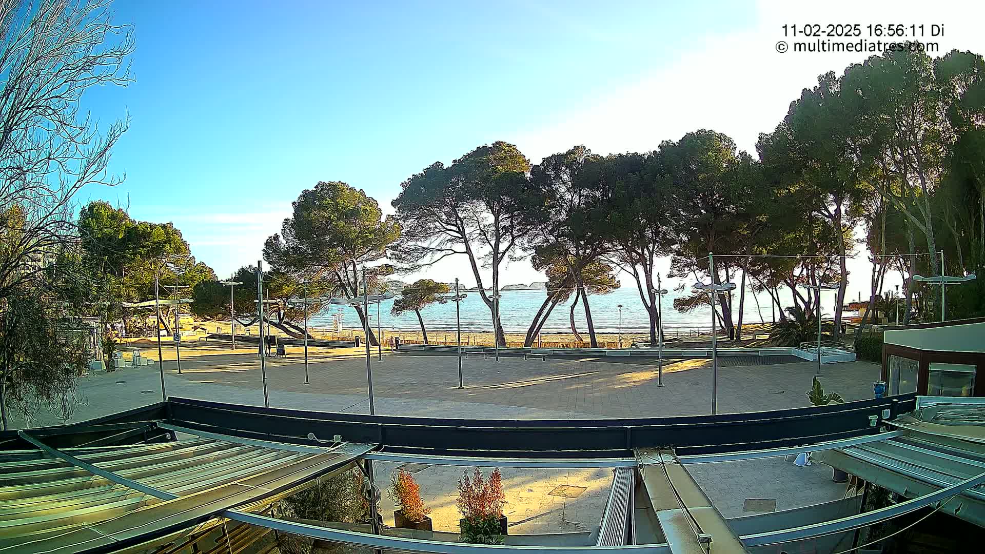 A paved plaza with several tall, slender pine trees overlooks a calm, sunny beach and ocean.