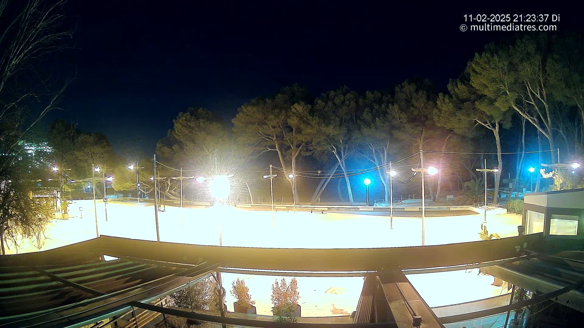 A brightly lit, empty outdoor skating rink at night is surrounded by tall trees under a clear, dark sky.