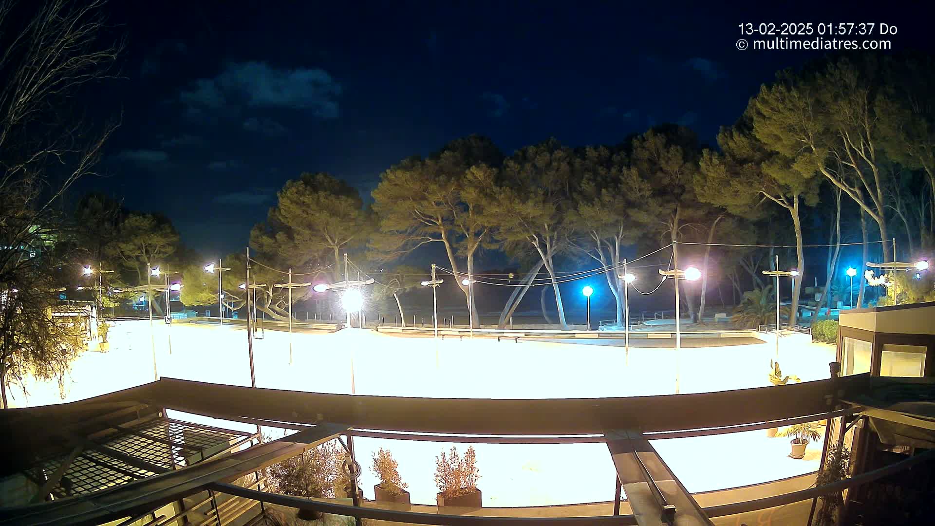 A brightly lit, empty outdoor rink is surrounded by tall, dark trees under a mostly clear night sky.