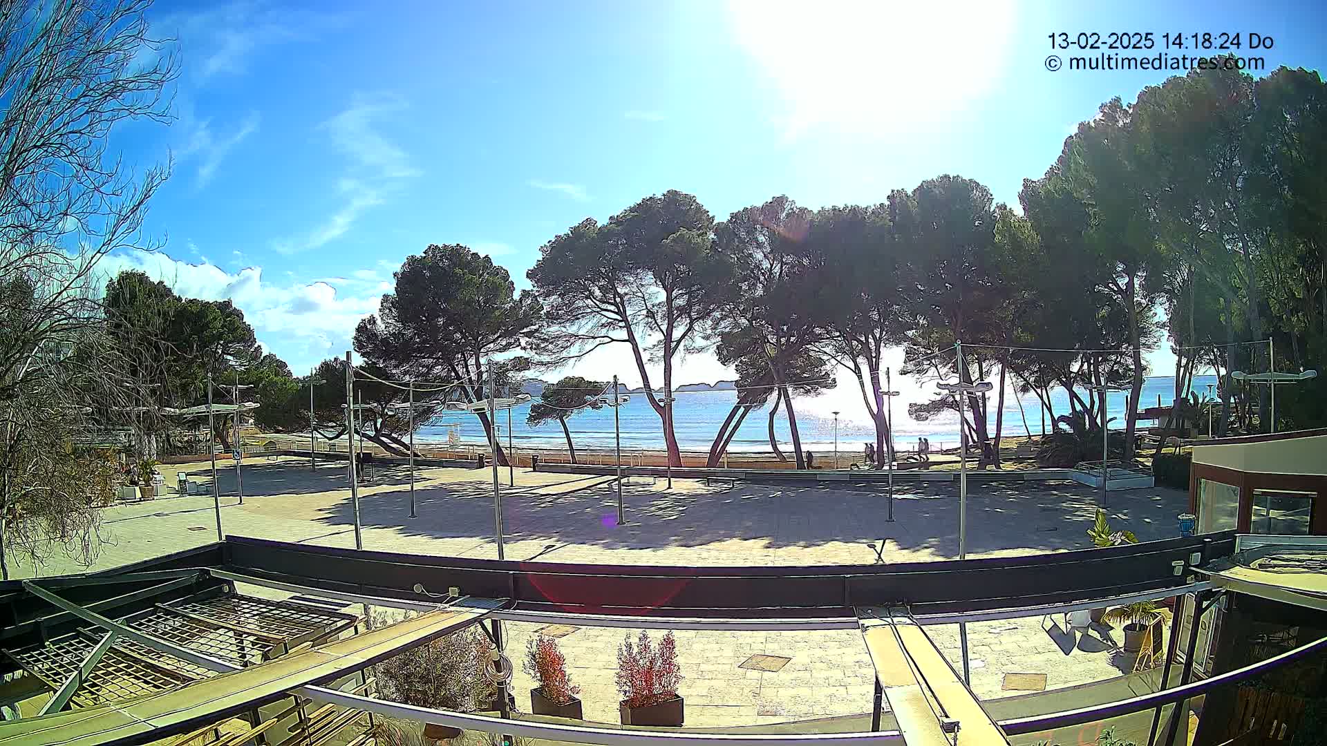 A sunny day at a beachside plaza shows several pine trees lining a sandy beach with calm, blue water beyond, viewed from an elevated position above a paved area.