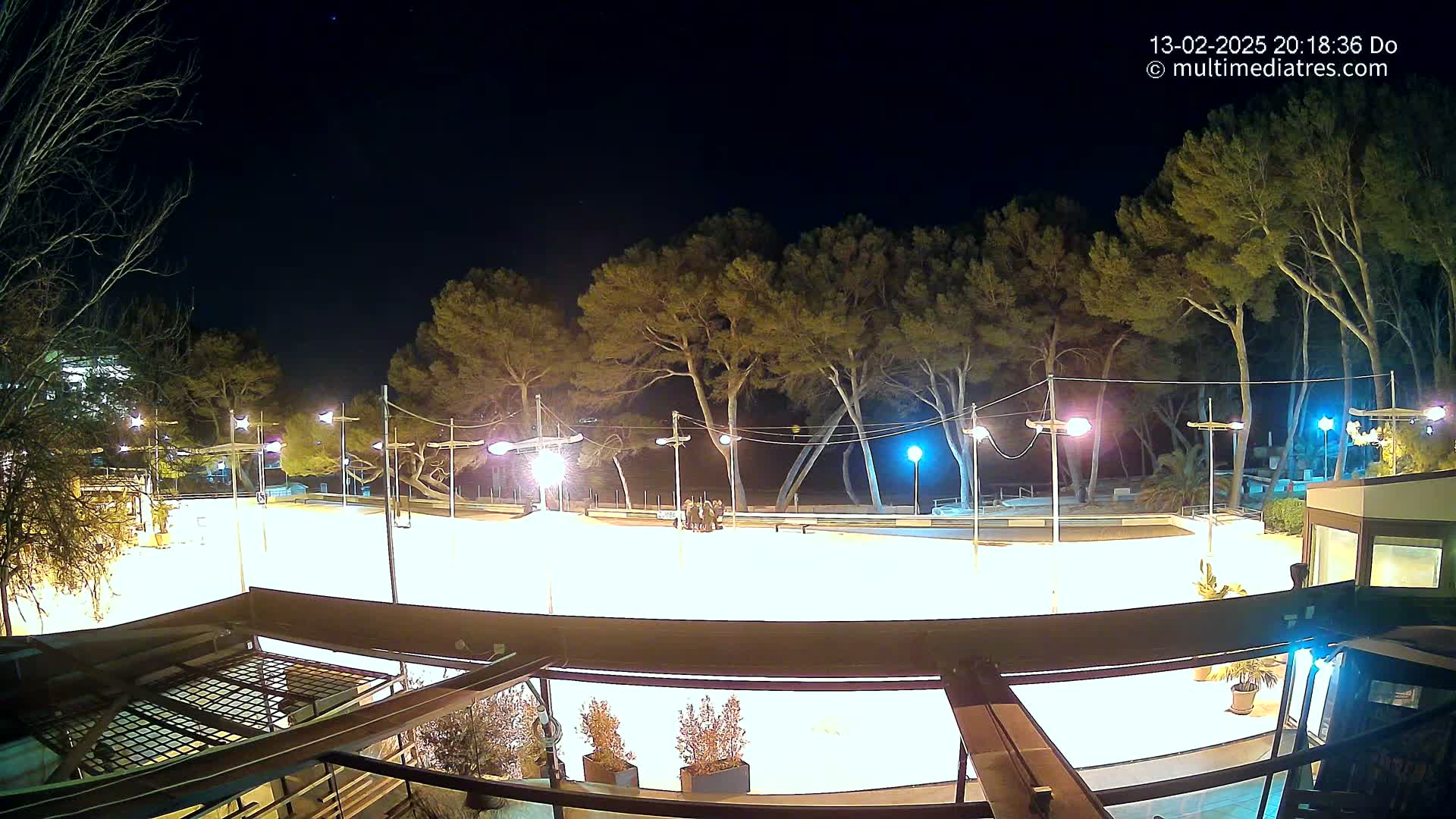 A brightly lit, empty skating rink at night, surrounded by tall pine trees under a clear, dark sky.