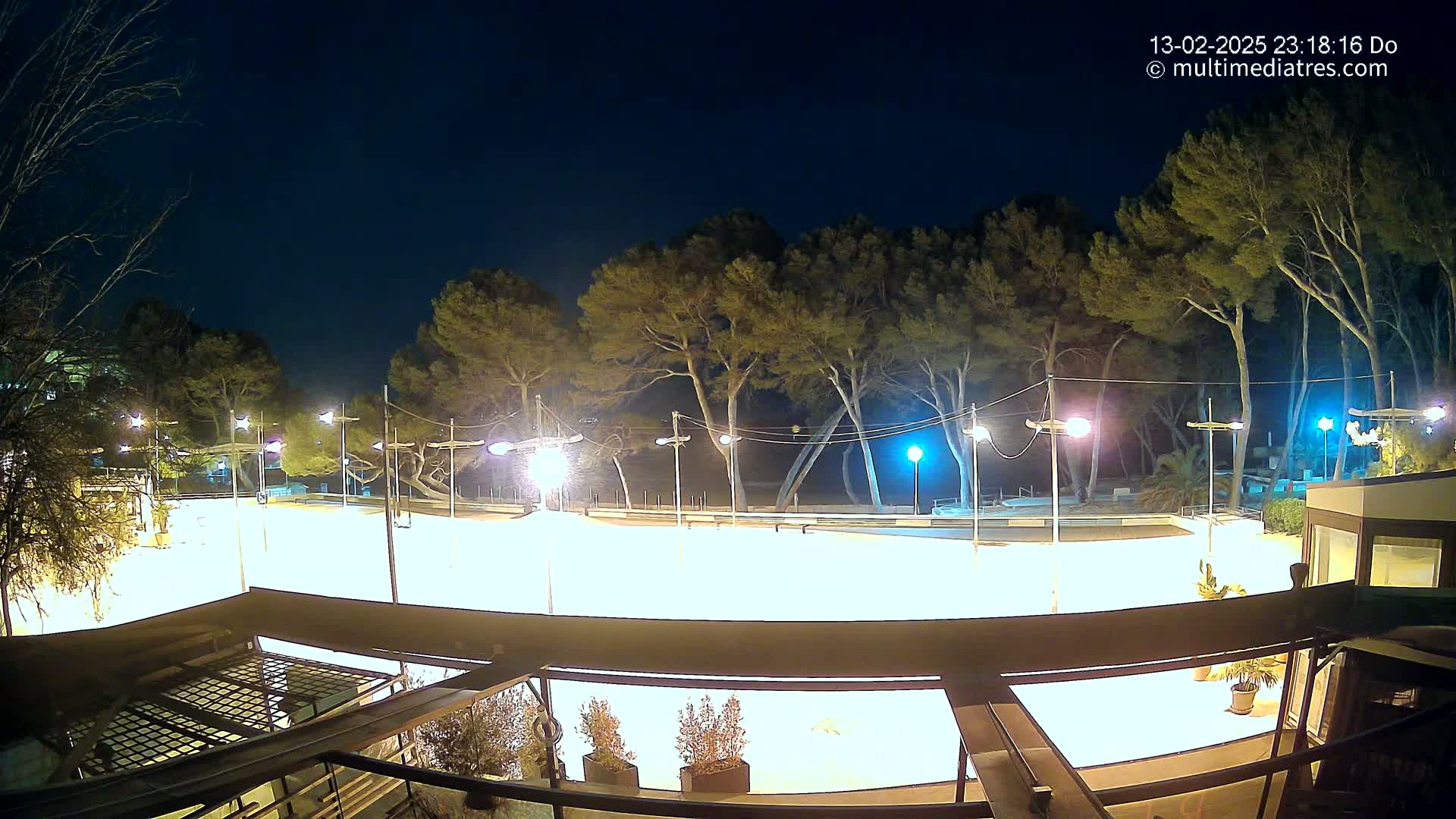 A brightly lit, empty skating rink at night, surrounded by trees under a clear, dark sky.
