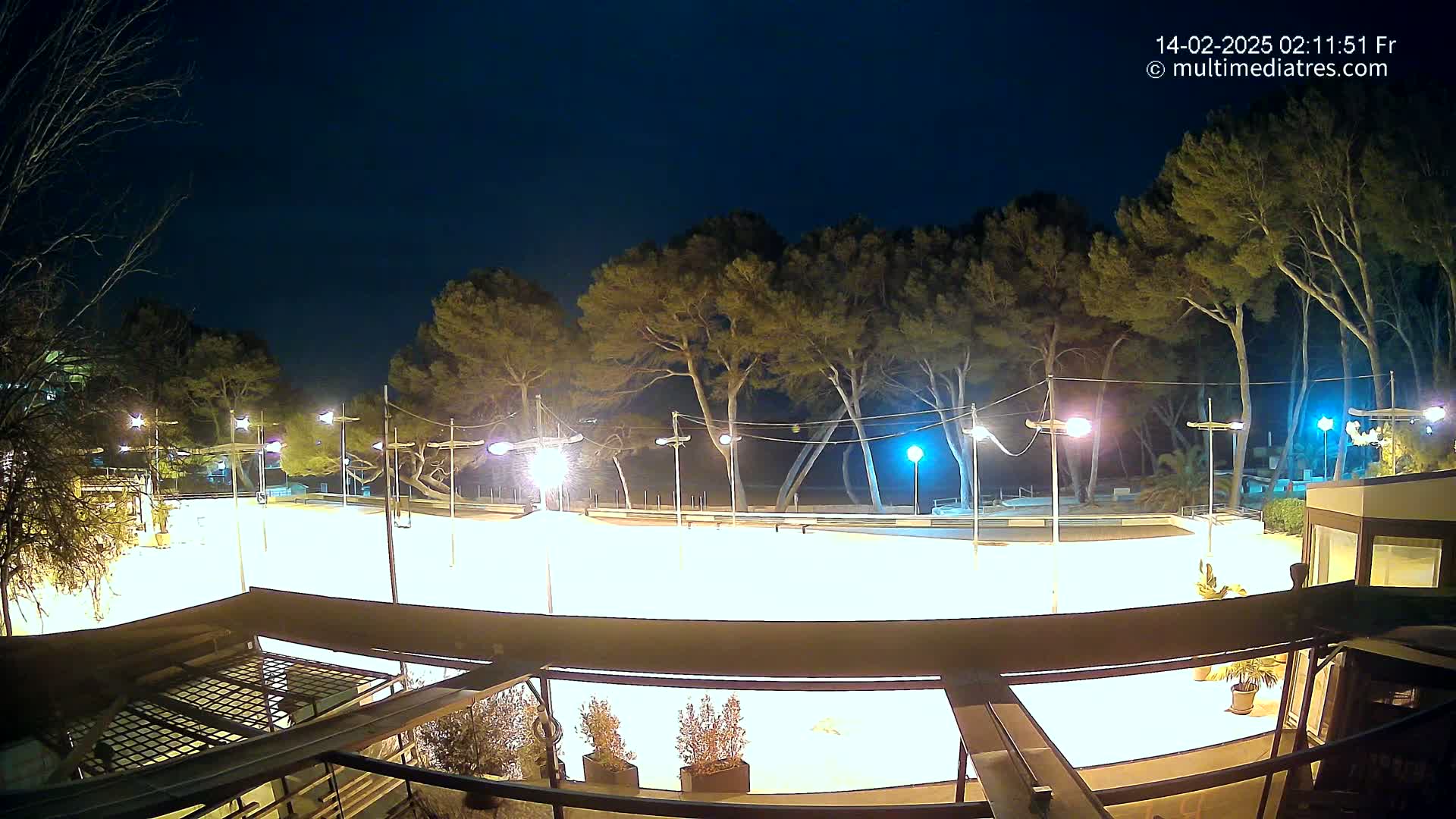 A brightly lit outdoor rink at night, surrounded by tall trees under a dark sky.