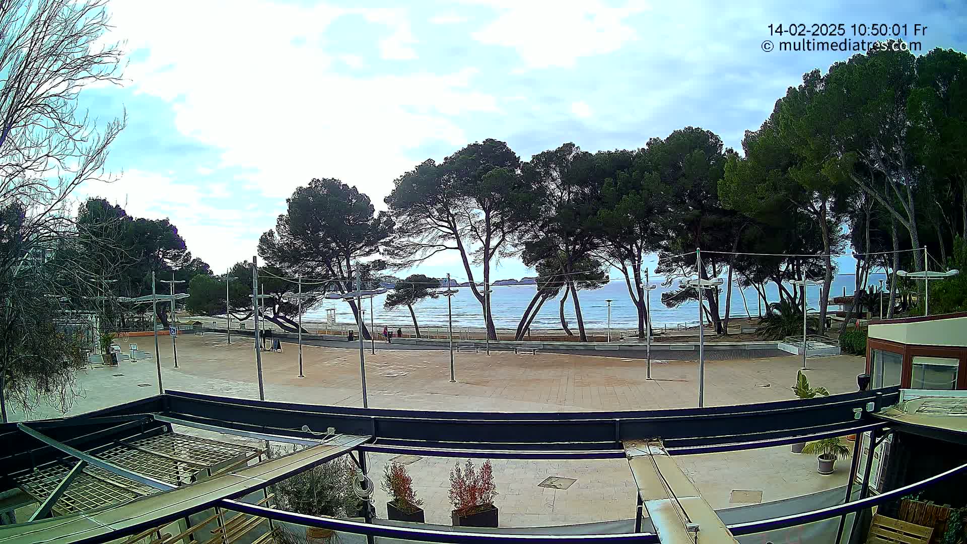 A mostly sunny day overlooks a sandy beach and calm ocean, viewed from a patio area behind a row of pine trees.