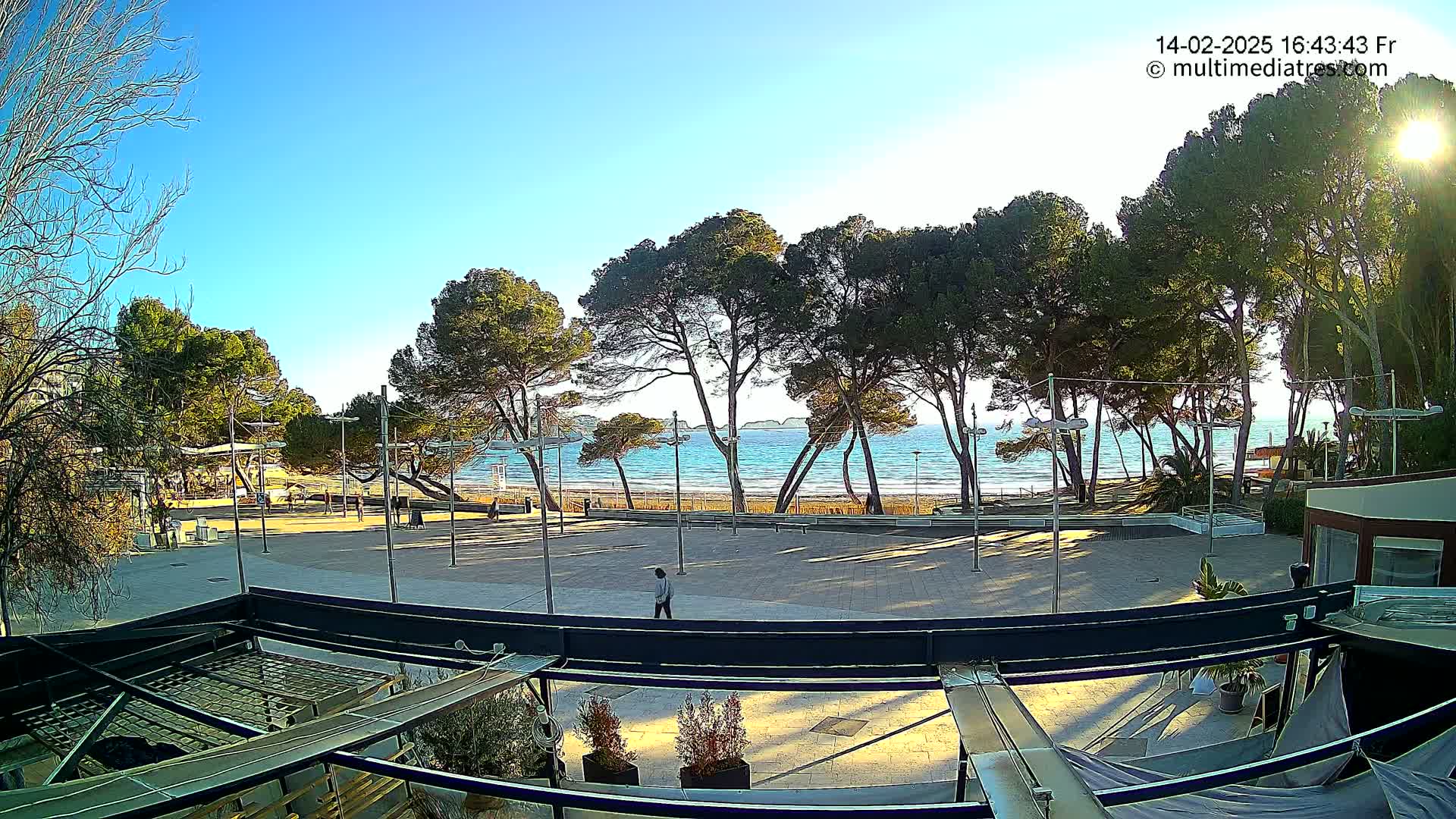 A sunny day at a beachside plaza with several pine trees, a sandy beach, and calm blue water in the background.