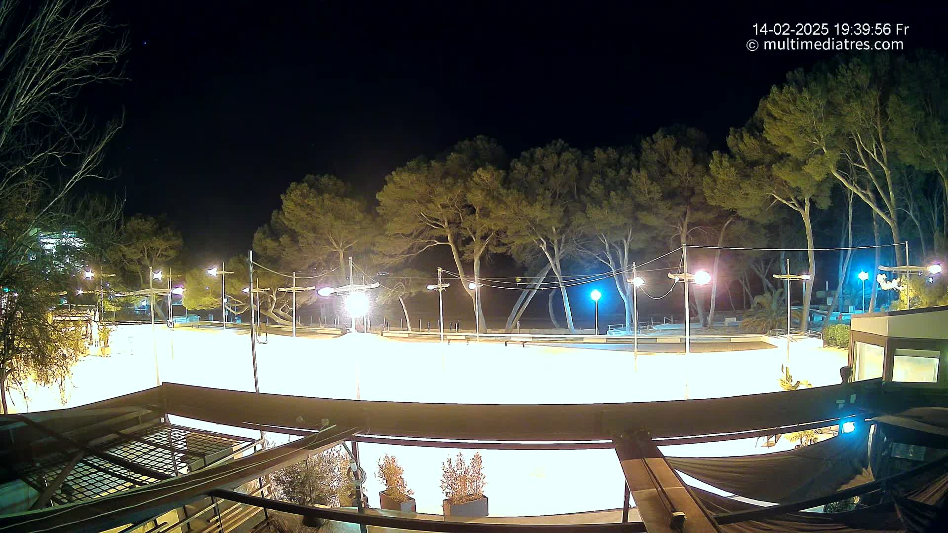 A brightly lit, empty ice rink at night is surrounded by tall trees and illuminated by numerous lampposts under a clear, dark sky.