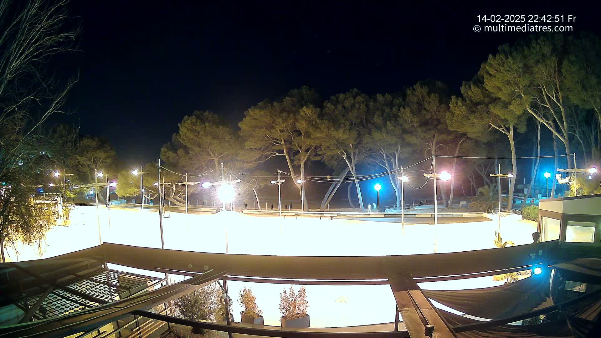A brightly lit, empty skating rink at night, surrounded by trees under a clear, dark sky.