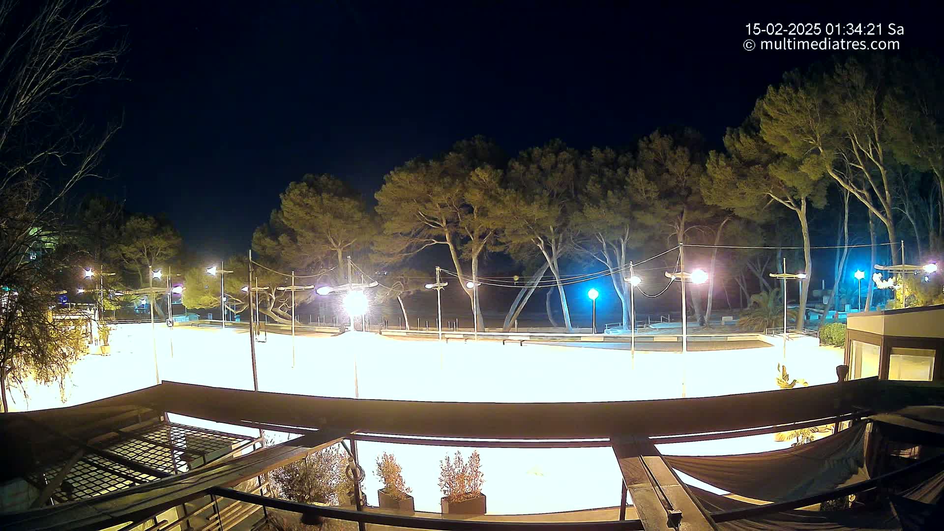 A brightly lit, empty outdoor rink at night, surrounded by tall pine trees under a clear, dark sky.