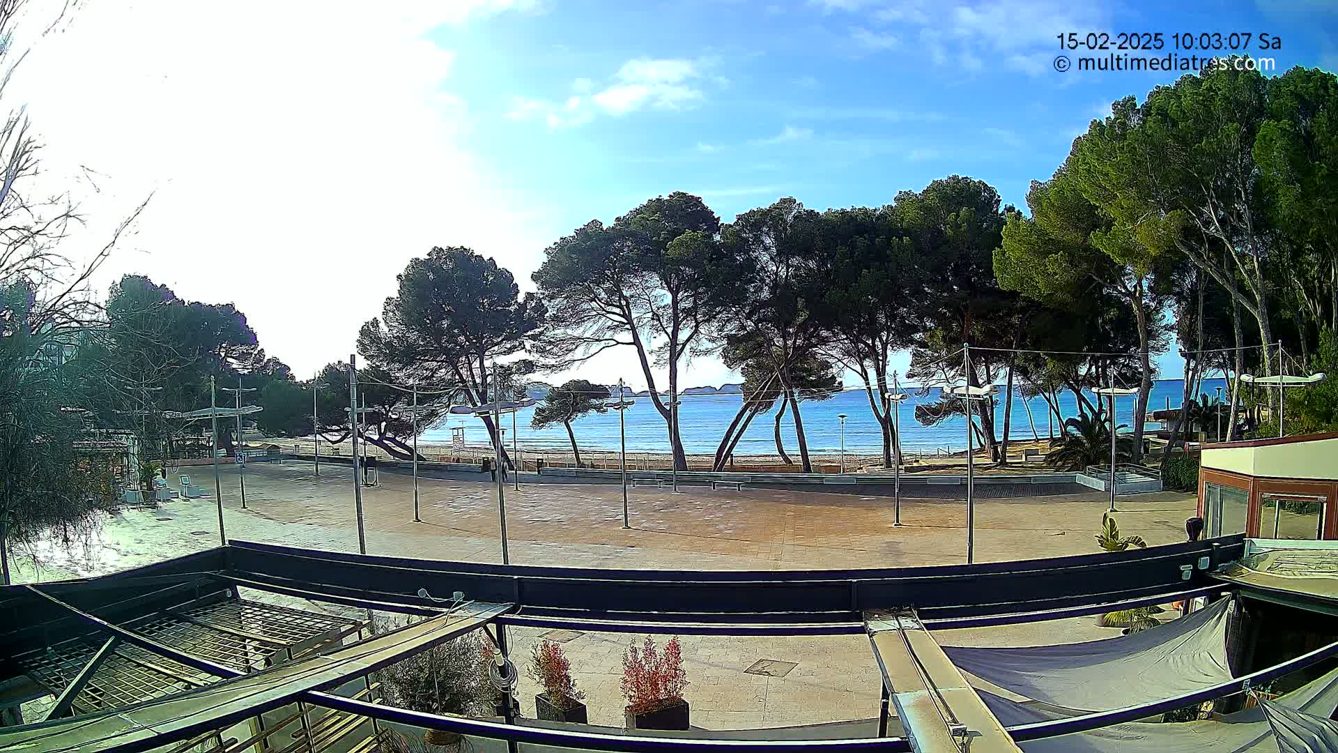 A mostly sunny day overlooking a sandy beach and calm ocean, seen from an elevated position through a line of pine trees and a paved plaza.