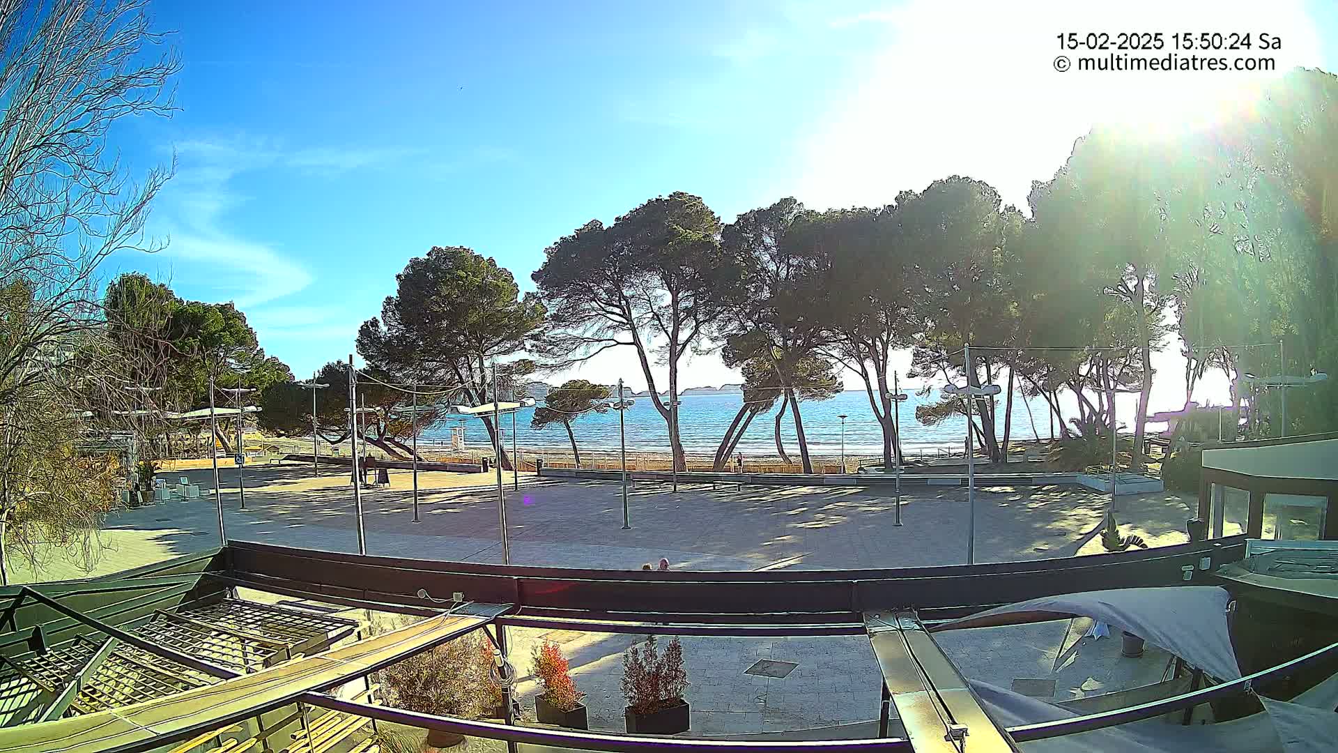 A sunny day at a beach, with a row of pine trees lining a paved plaza overlooking calm blue water.