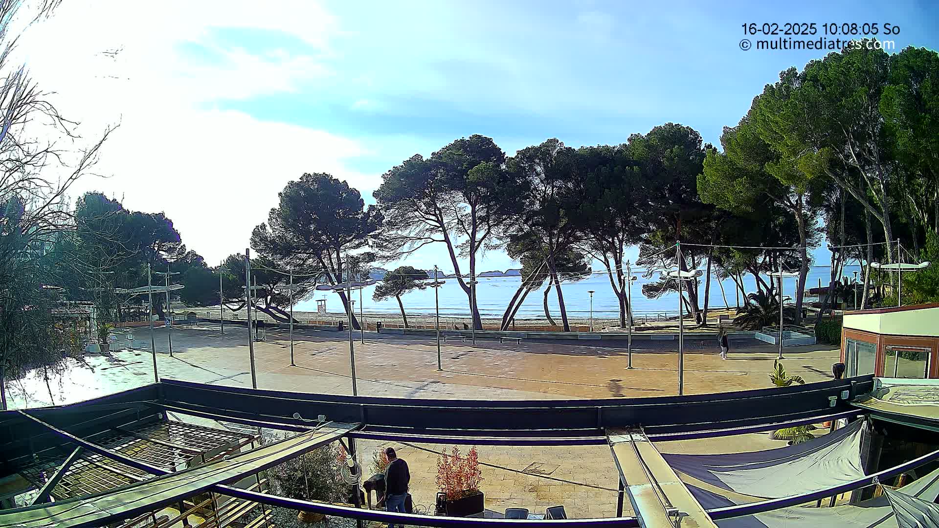A mostly sunny outdoor view from a patio shows a paved area, a sandy beach, calm blue water, and a line of pine trees between the beach and patio.