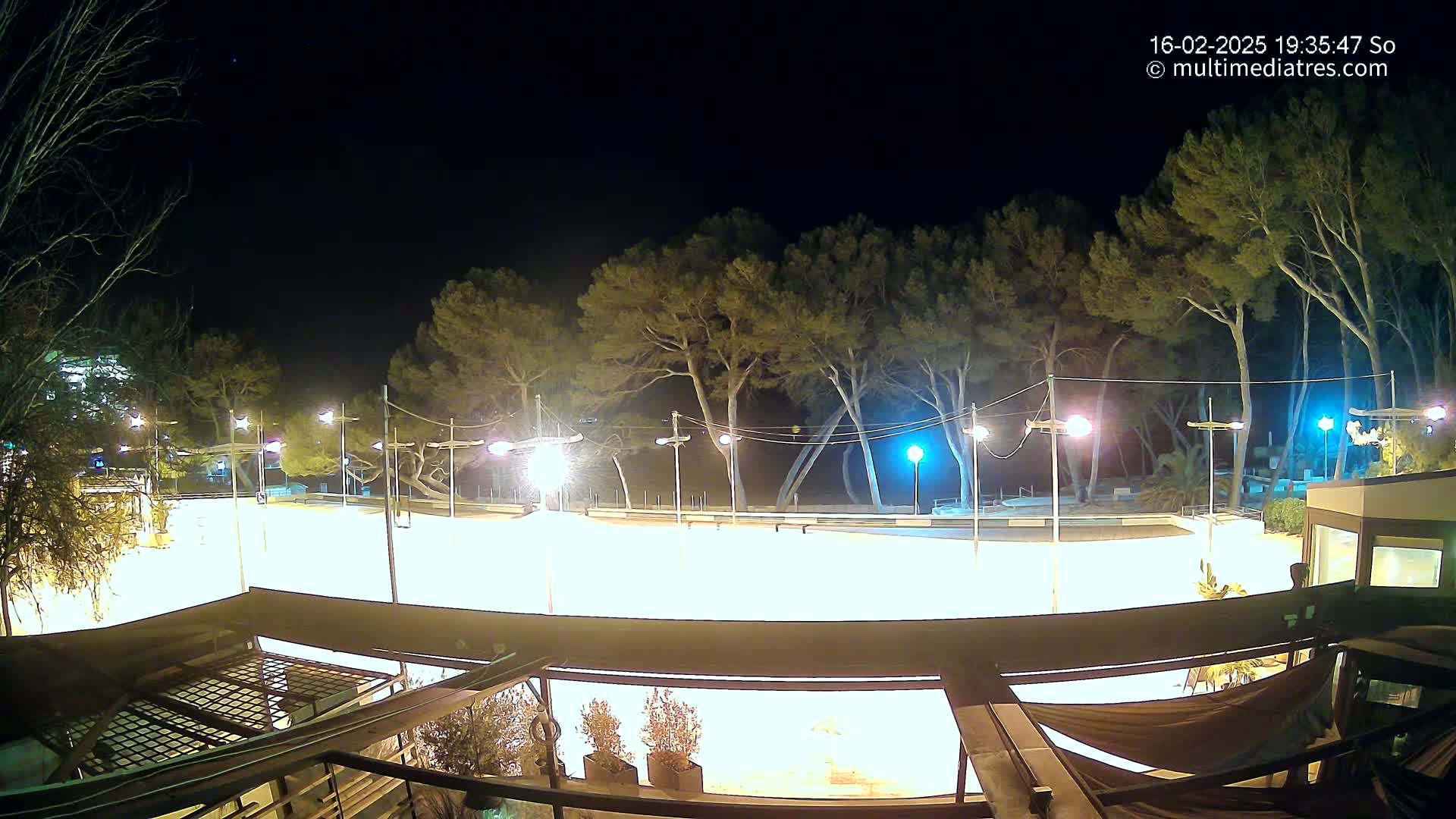 A brightly lit, empty outdoor rink is surrounded by tall, dark trees under a clear night sky.