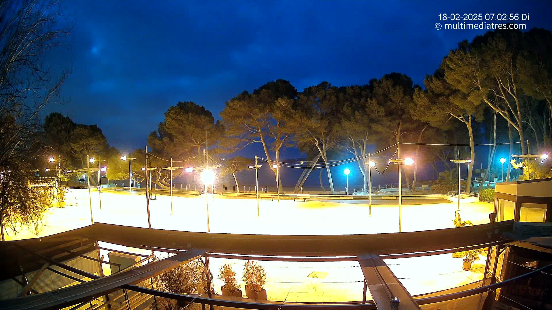 A brightly lit, empty plaza or rink at night, surrounded by trees under a dark blue, mostly clear sky.